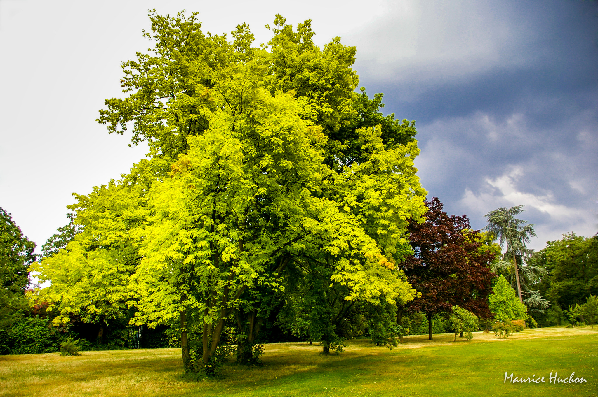 Pentax K100D Super sample photo. Parc de bagatelle (paris) photography