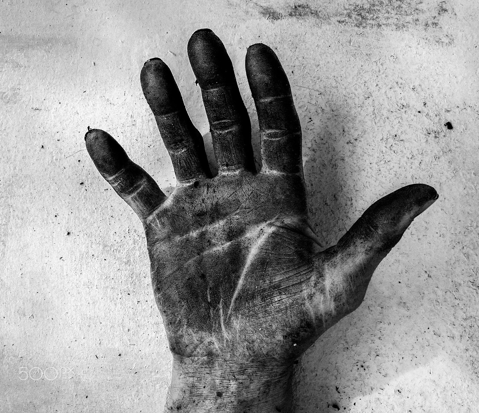 Canon EF 50mm f/1.8 sample photo. Hand photography