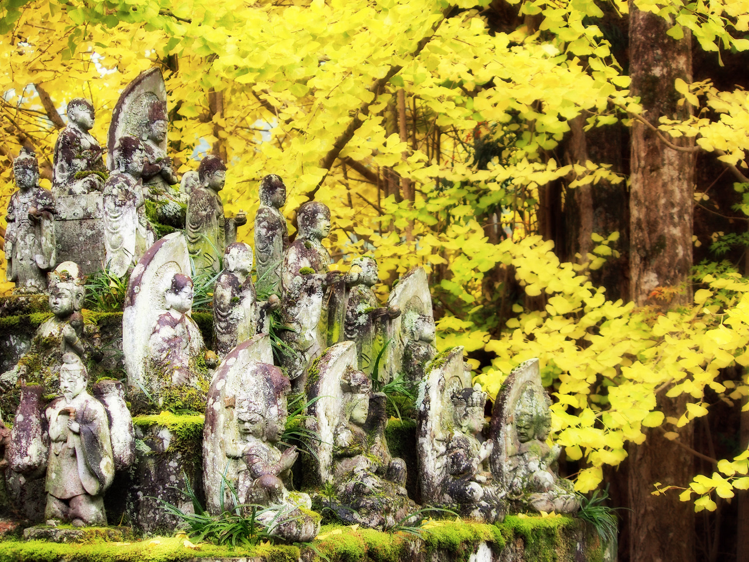 Olympus OM-D E-M5 sample photo. Stone buddhas against ginkgo leaves photography