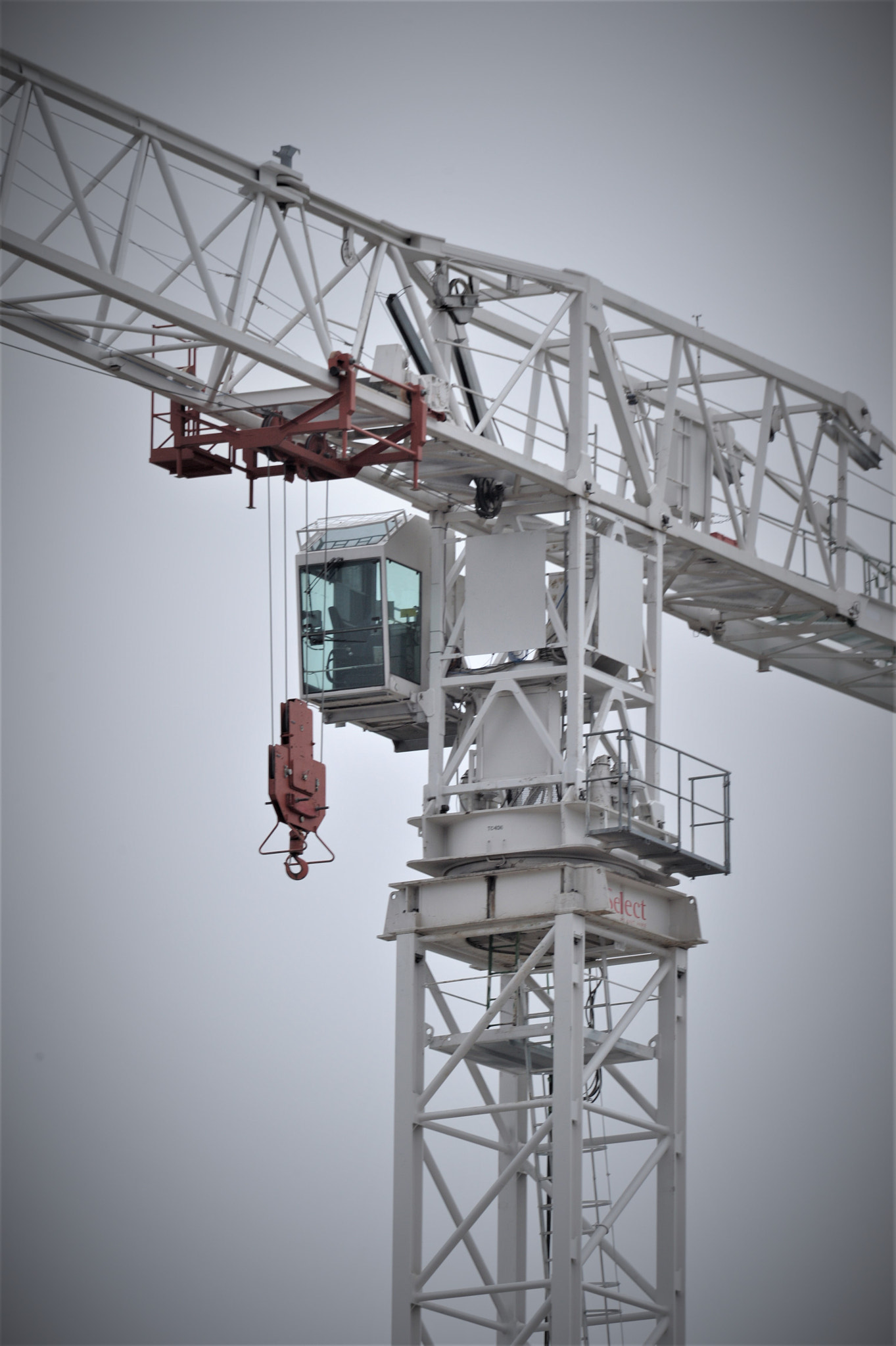 Sigma 150-600mm F5-6.3 DG OS HSM | S sample photo