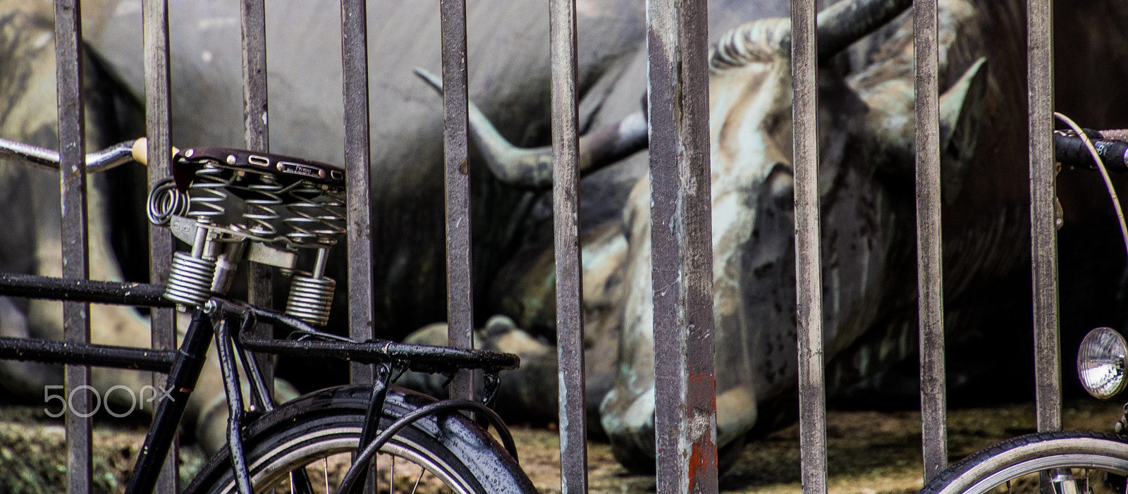 Canon EOS 750D (EOS Rebel T6i / EOS Kiss X8i) sample photo. Bull behind bars photography
