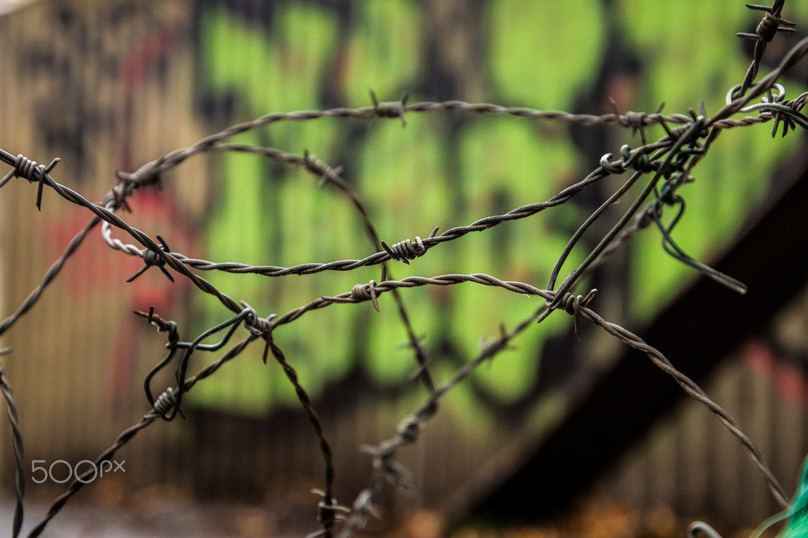 Canon EOS 750D (EOS Rebel T6i / EOS Kiss X8i) sample photo. Barbed wire photography