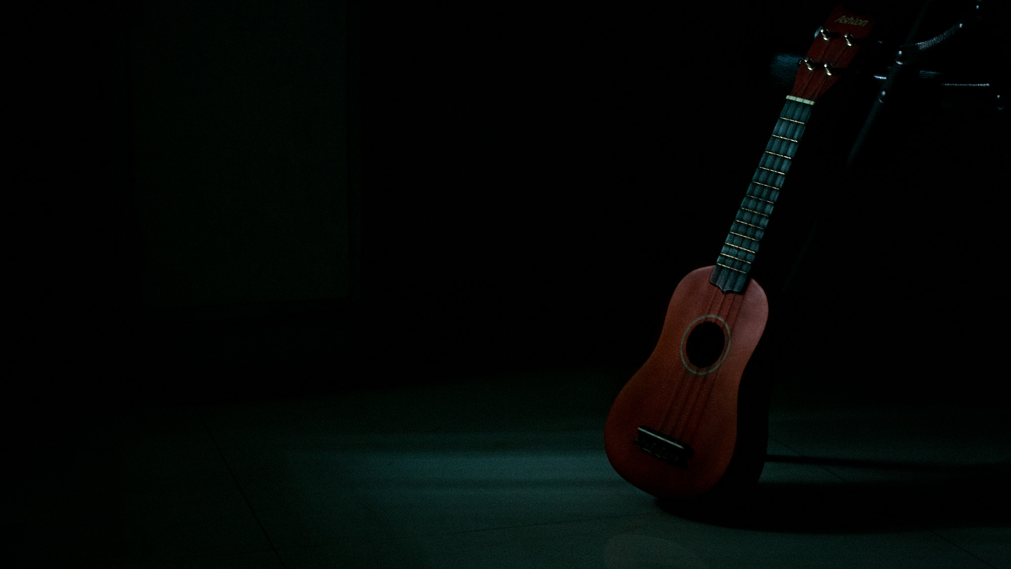 Canon EOS 600D (Rebel EOS T3i / EOS Kiss X5) + Canon EF 40mm F2.8 STM sample photo. The ukulele photography