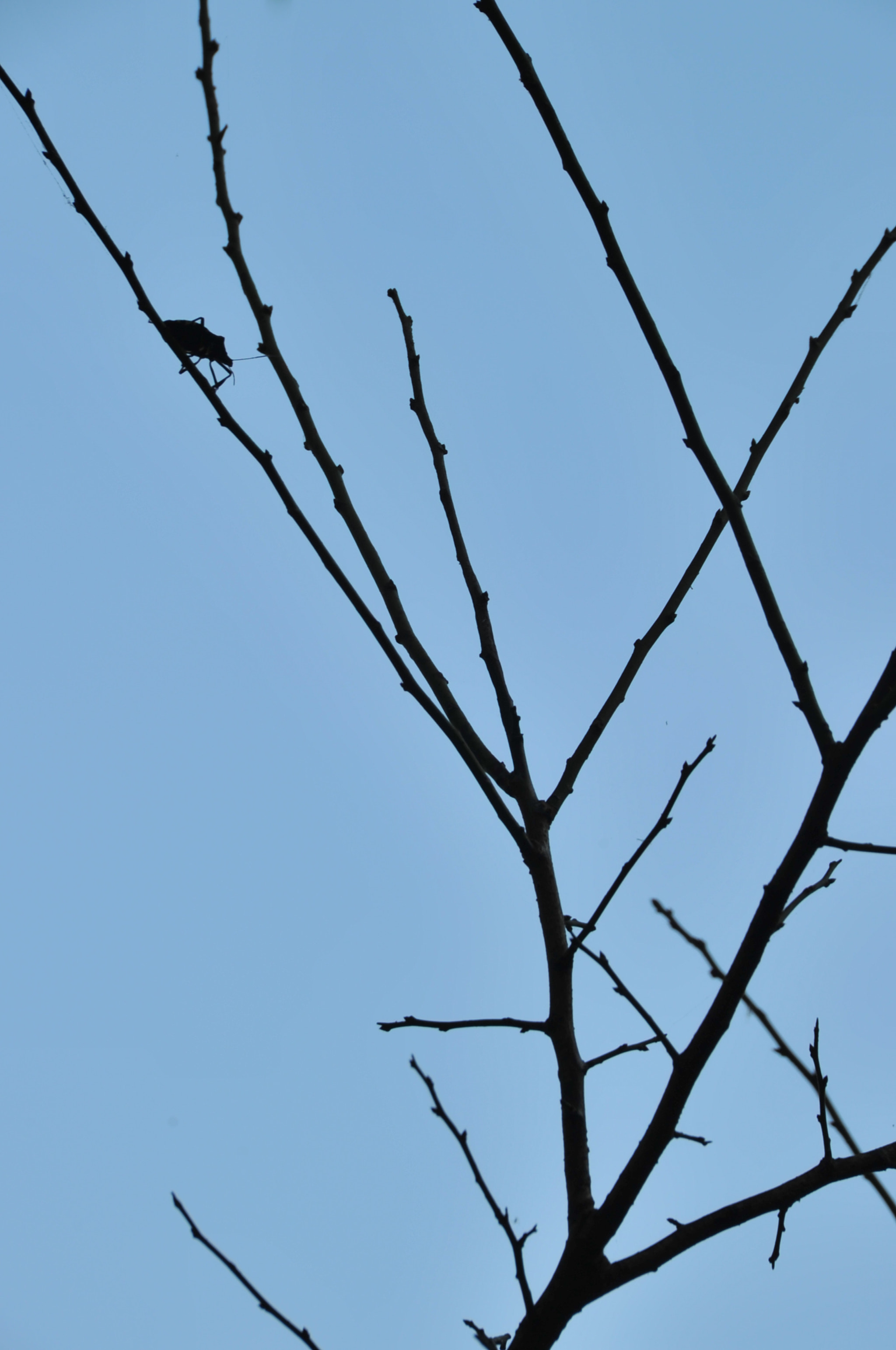 Nikon D3S sample photo. .. photography