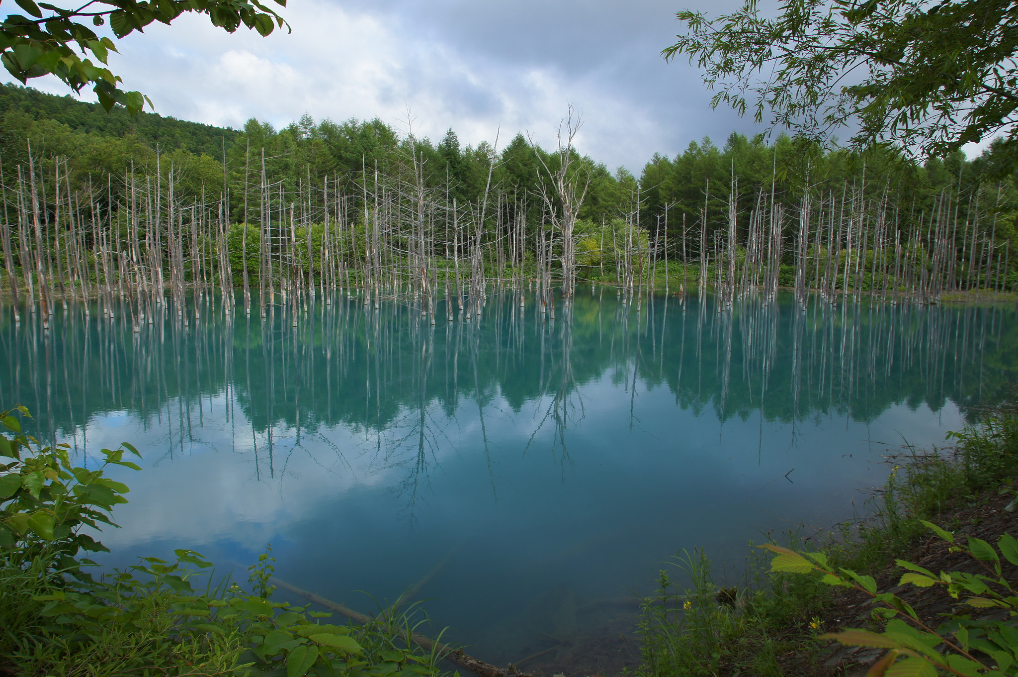 Sony SLT-A55 (SLT-A55V) sample photo. 夏の青い池 photography