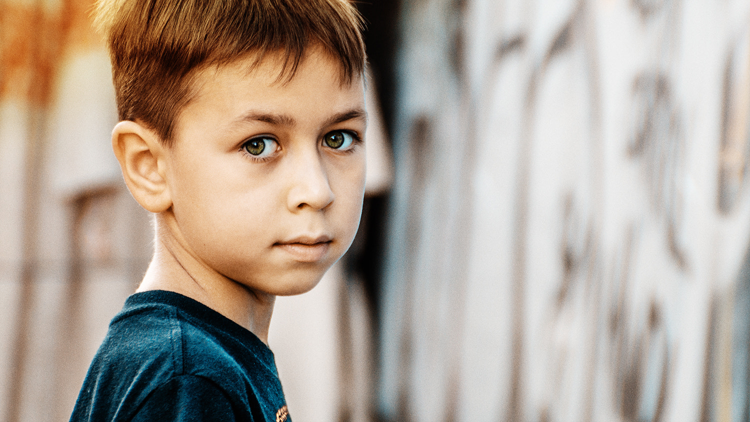 Sony DT 18-200mm F3.5-6.3 sample photo. Totonsky photography