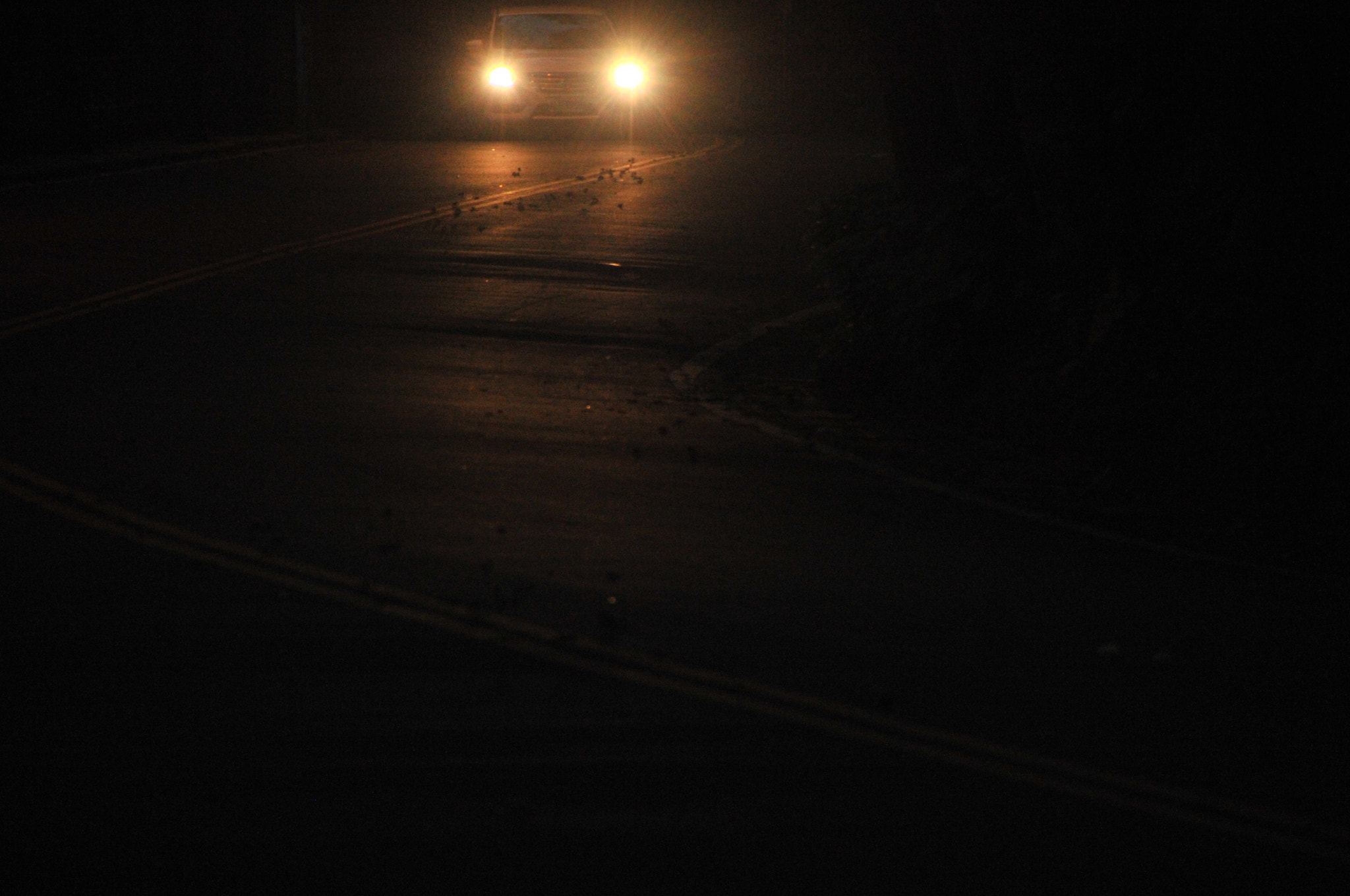 Nikon D3S sample photo. .. photography