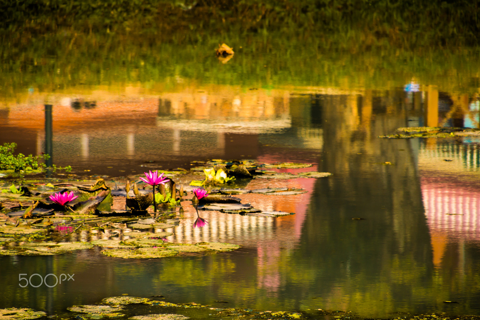 Canon EOS 750D (EOS Rebel T6i / EOS Kiss X8i) sample photo. River photography