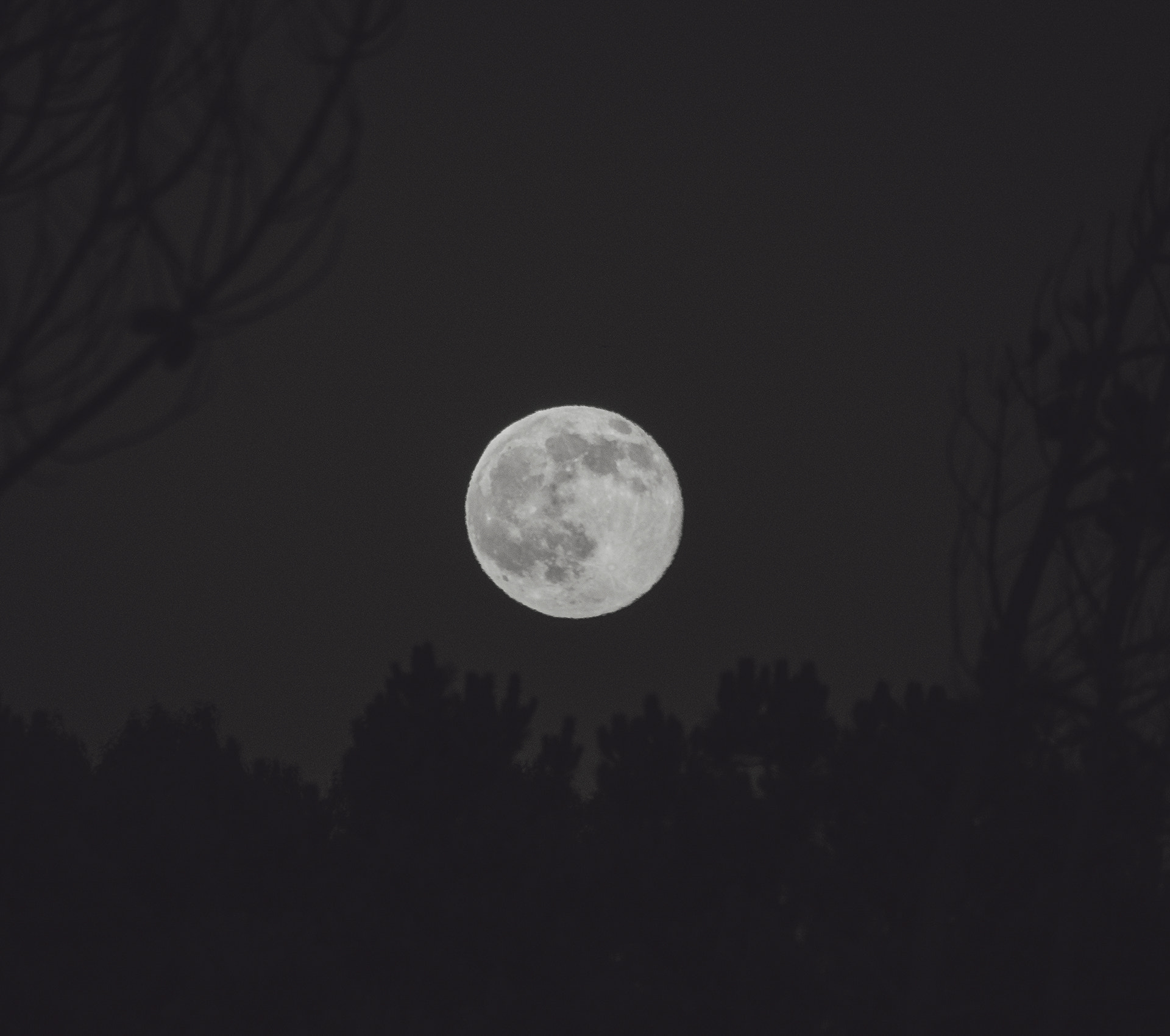 Panasonic Lumix DMC-GX8 sample photo. Full moon_june photography