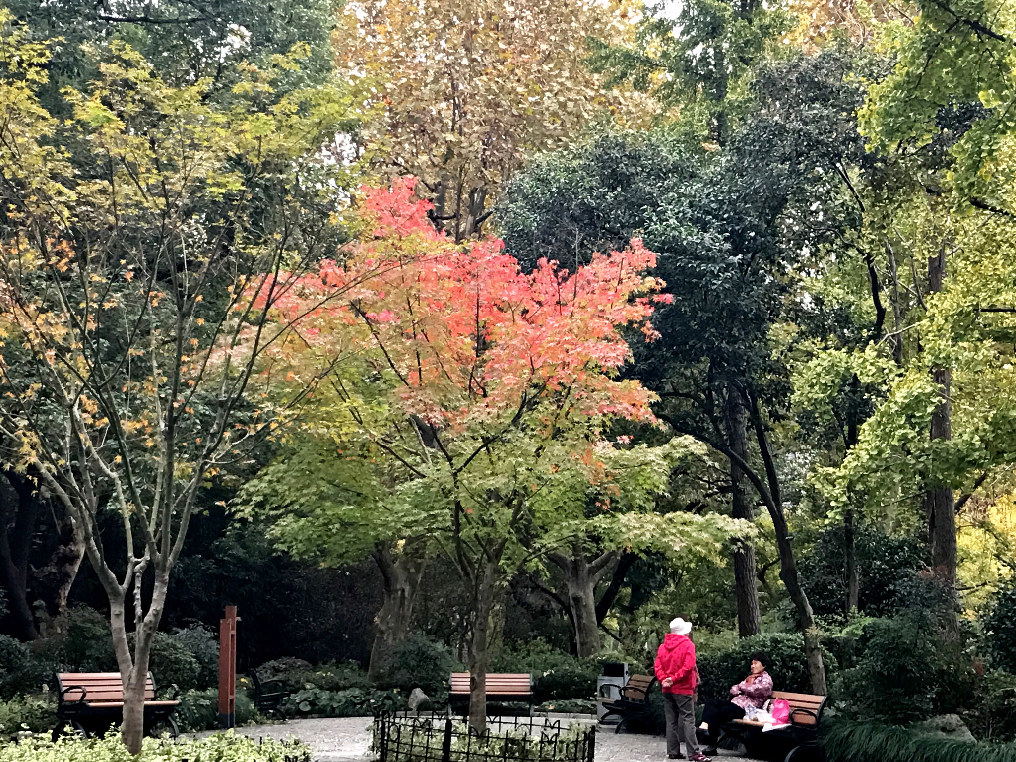 Apple iPhone9,1 sample photo. In the park 公园里 photography