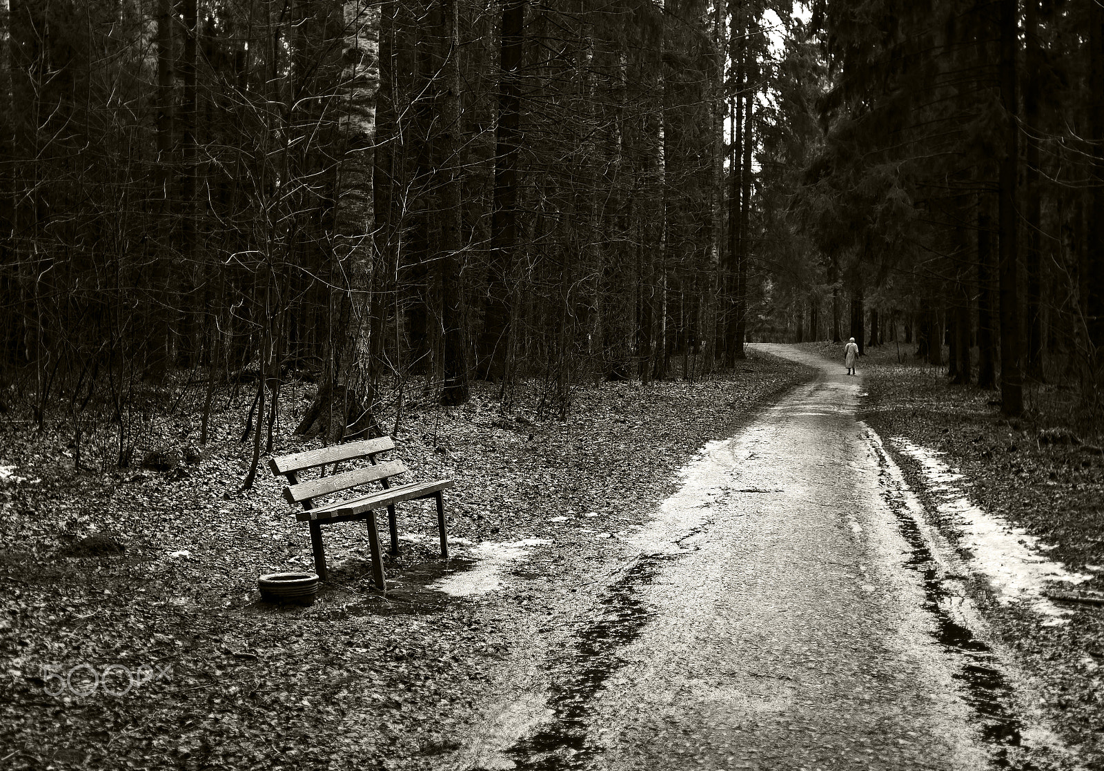 Canon EOS 600D (Rebel EOS T3i / EOS Kiss X5) + Canon EF 28mm F1.8 USM sample photo. A little autumn sadness photography