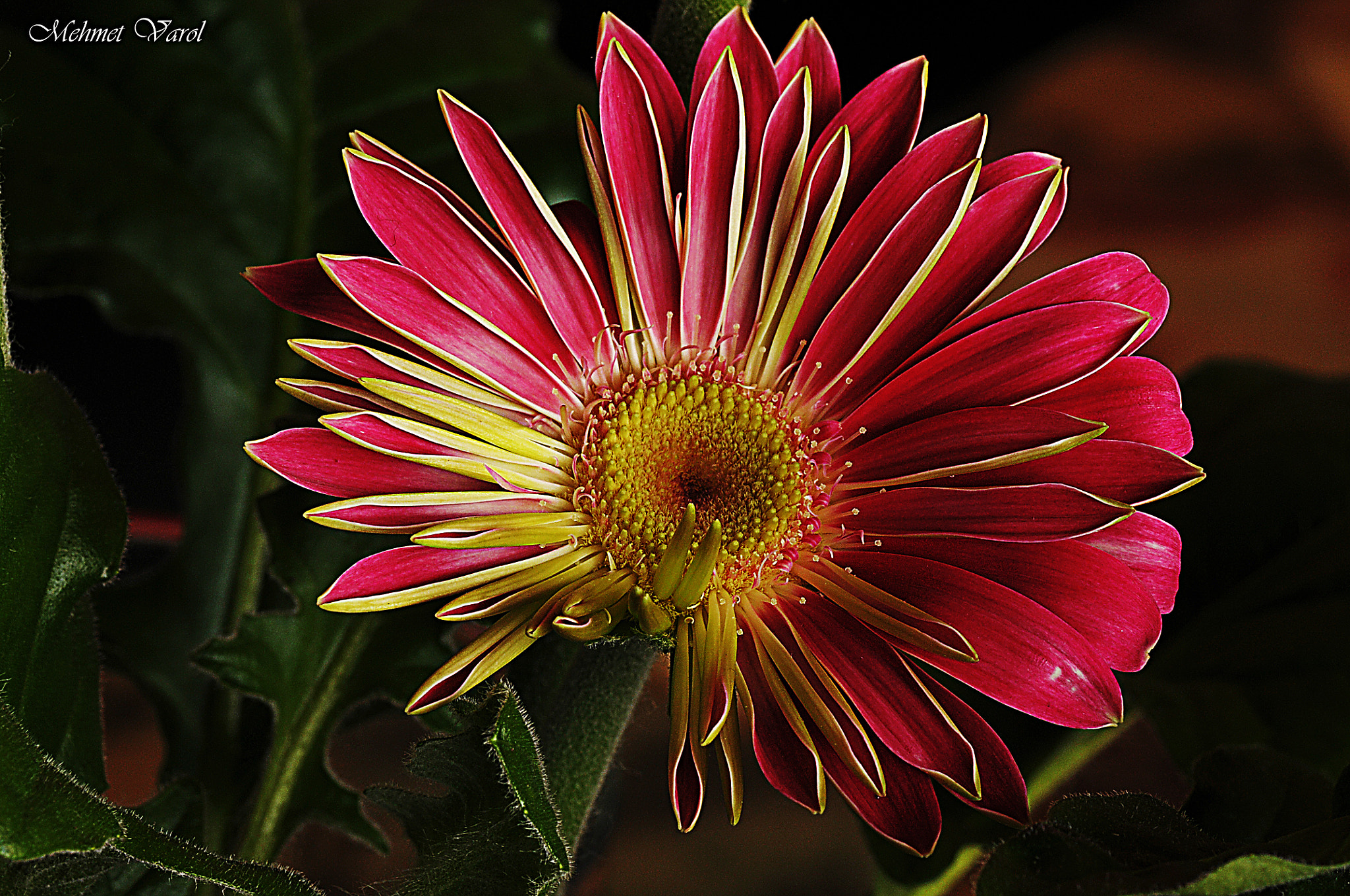 Nikon D300S sample photo. D photography
