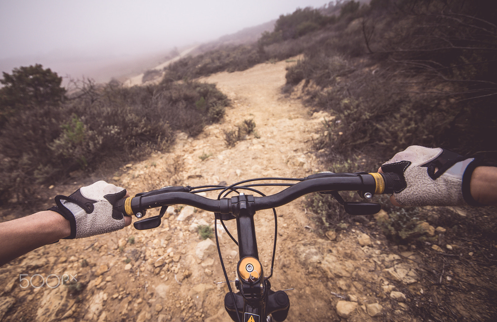 Sigma 12-24mm F4.5-5.6 II DG HSM sample photo. Downhill pov view with mountain bike photography