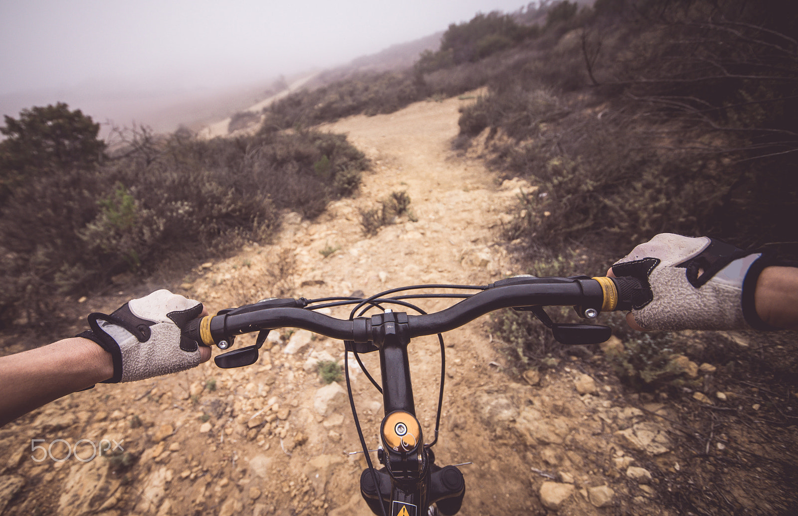 Nikon D610 sample photo. Downhill pov view with mountain bike photography