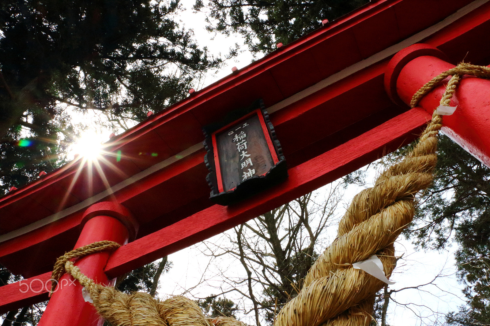Canon EOS 100D (EOS Rebel SL1 / EOS Kiss X7) + Canon EF-S 18-135mm F3.5-5.6 IS STM sample photo. 鳥居 "torii" photography
