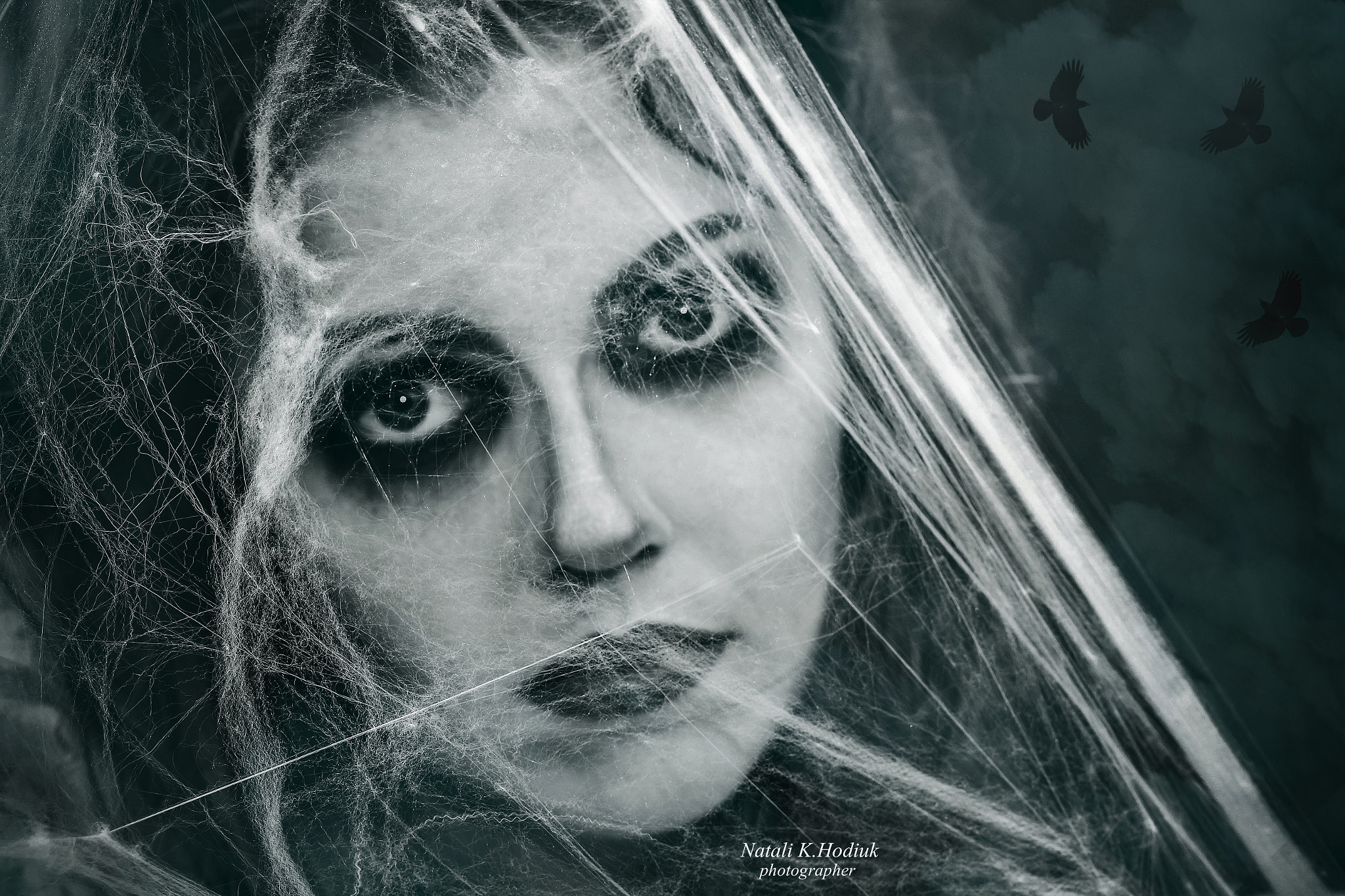 Canon EOS 650D (EOS Rebel T4i / EOS Kiss X6i) + Canon EF 85mm F1.8 USM sample photo. Cobweb dreams photography
