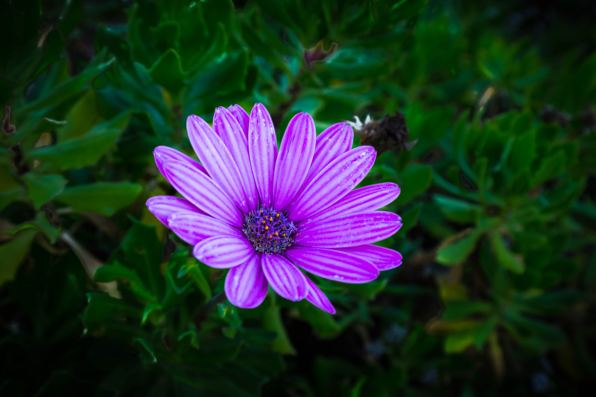 Samsung NX 18-55mm F3.5-5.6 OIS sample photo. Untitled photography