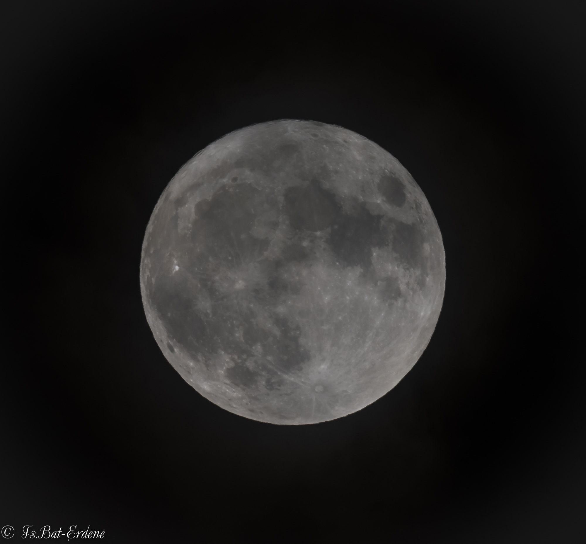 Nikon AF-S Nikkor 600mm F4E FL ED VR sample photo. Tsbat photography