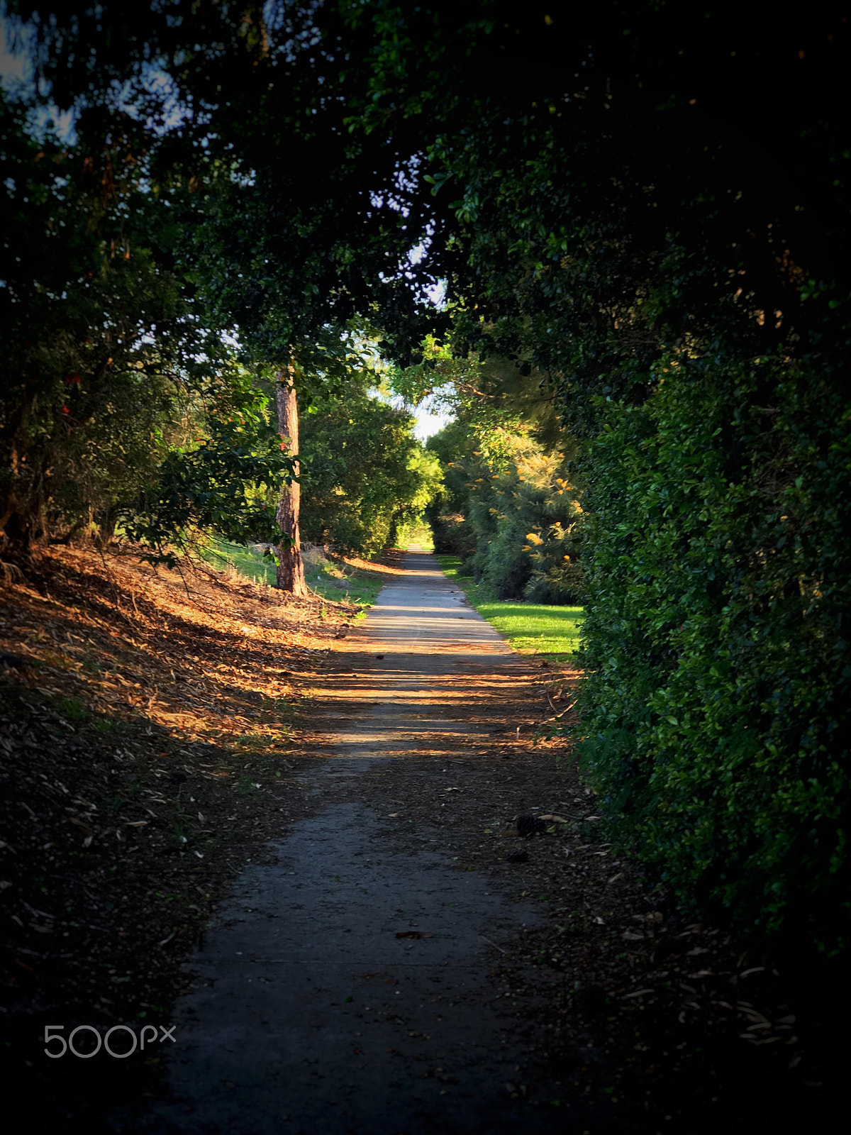 Apple iPhone 7 Plus sample photo. Secret path photography