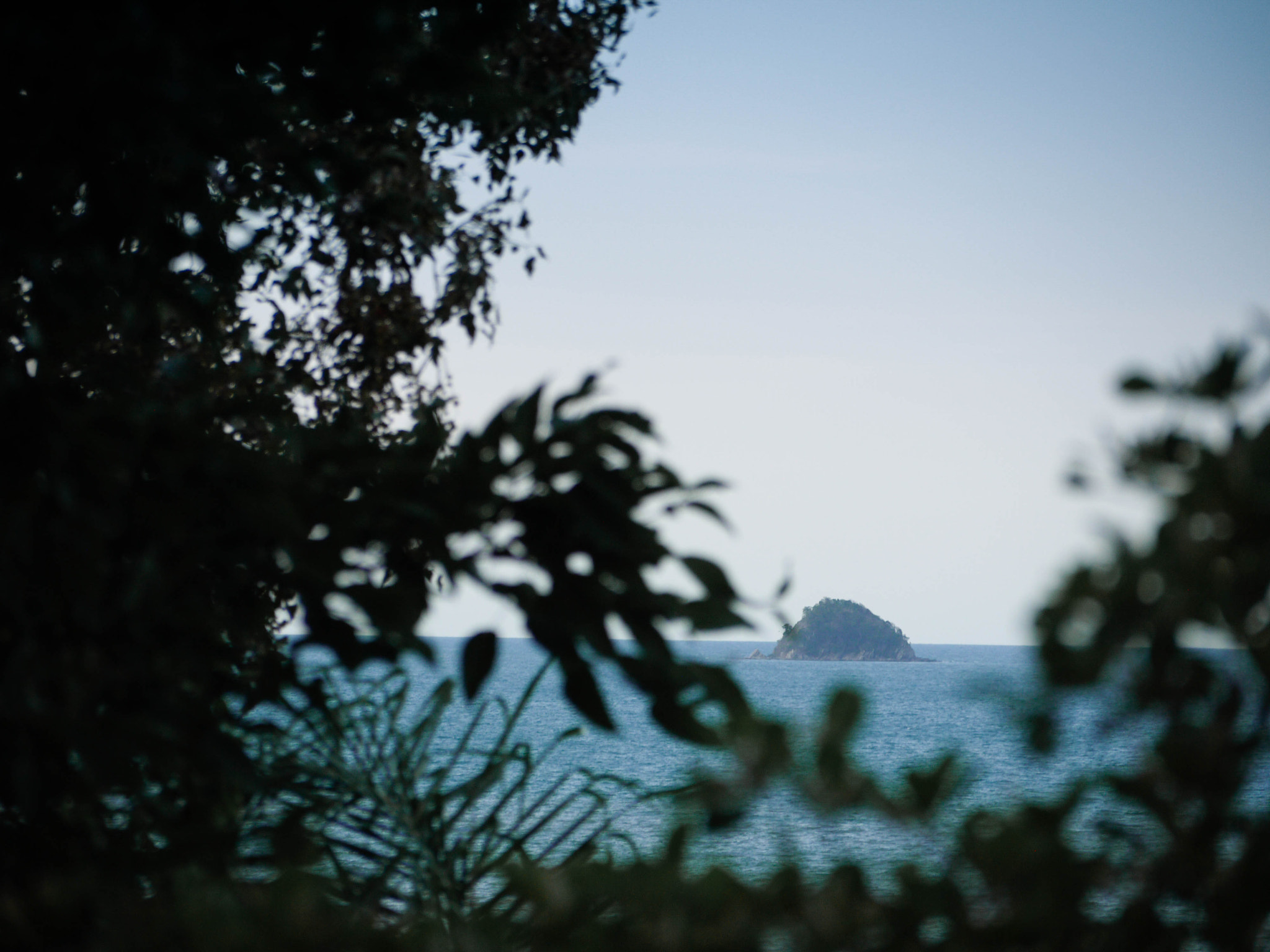 Panasonic Lumix DMC-G1 sample photo. Land ahoy! photography