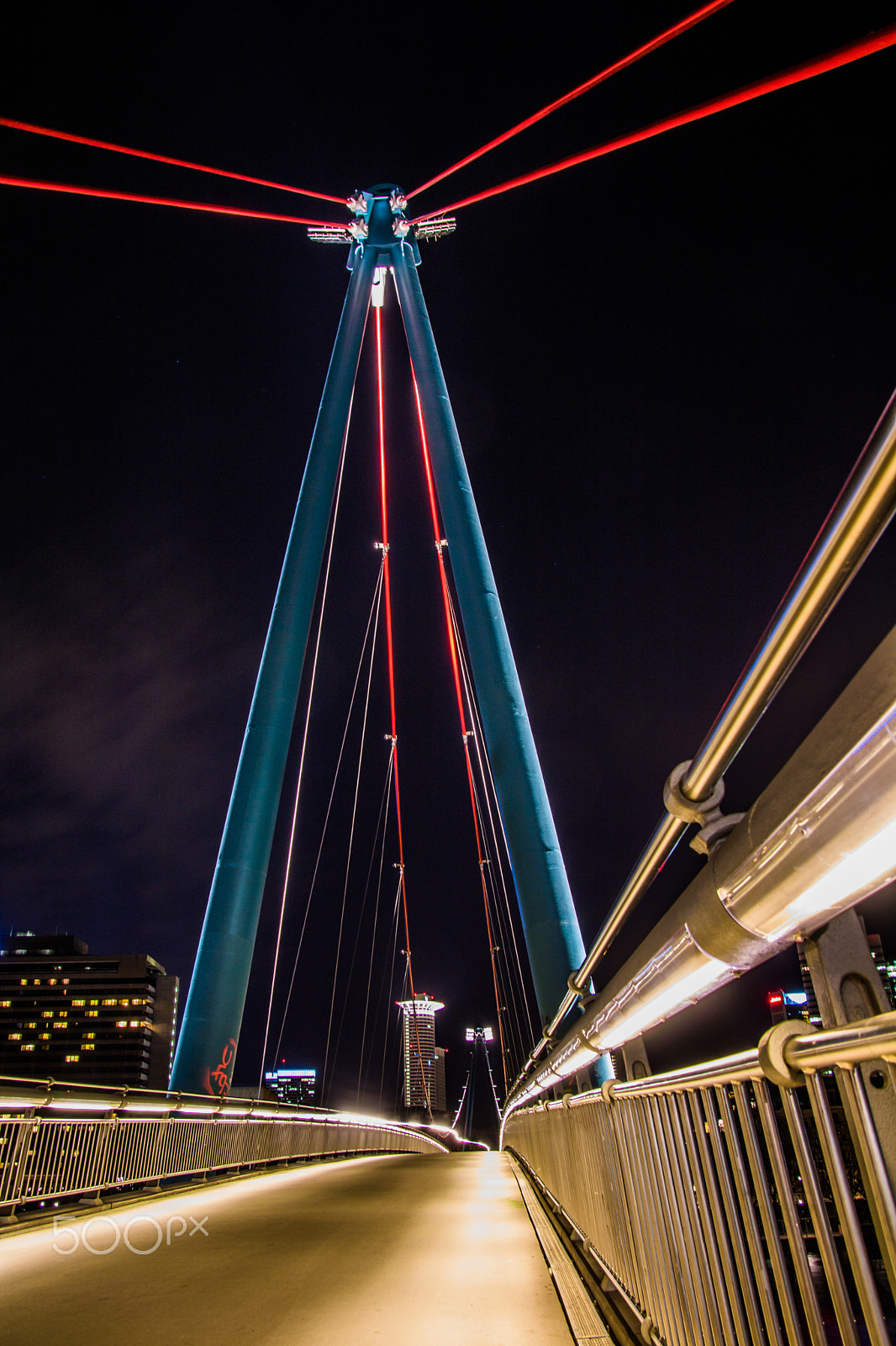 Canon EOS 750D (EOS Rebel T6i / EOS Kiss X8i) sample photo. Bridge photography