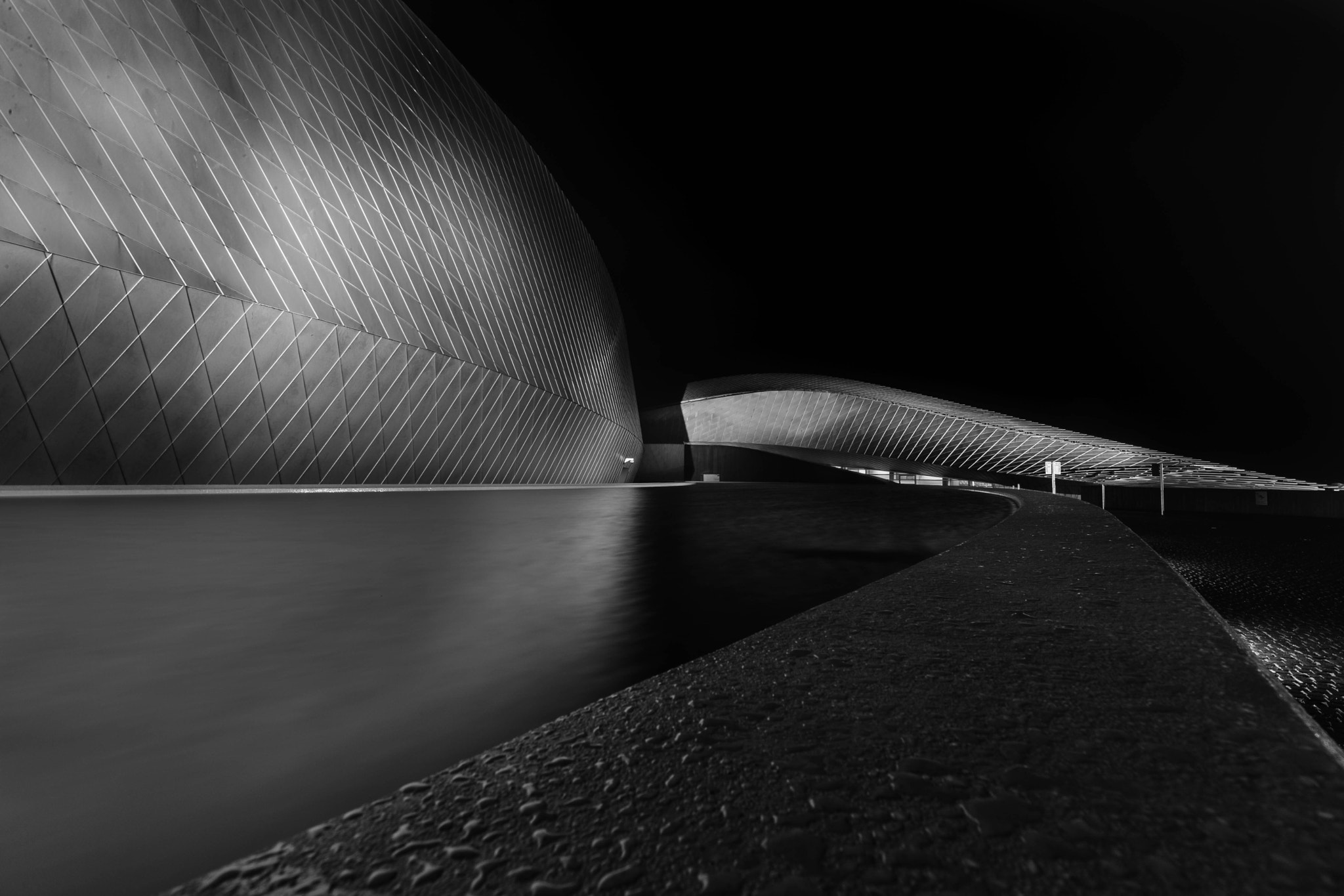 Canon EOS-1Ds Mark III sample photo. The blue planet bw photography