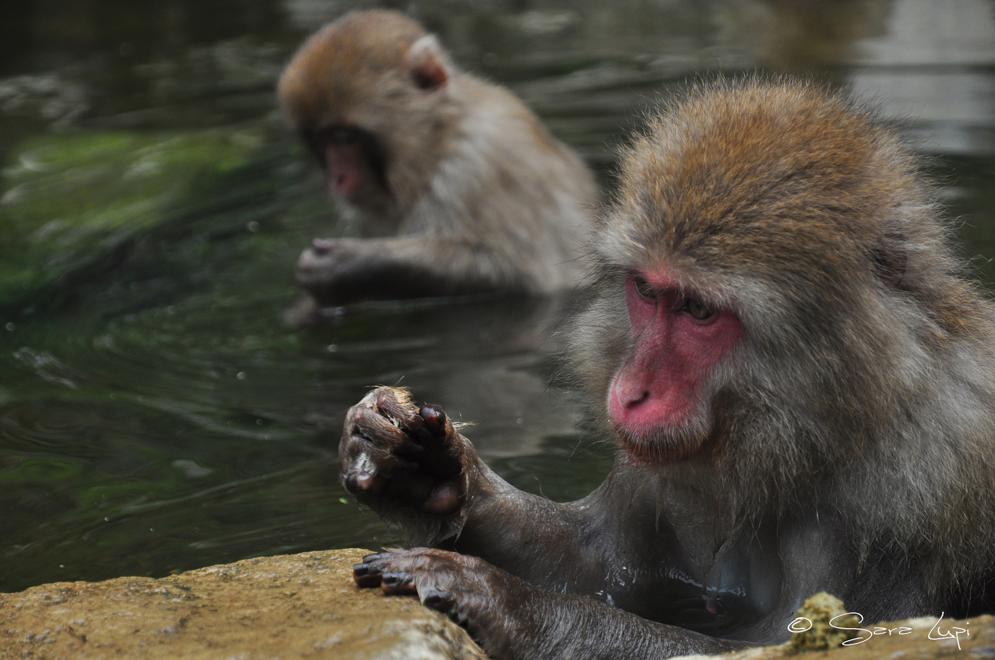 Nikon D5000 sample photo. Closed fist, open mind photography