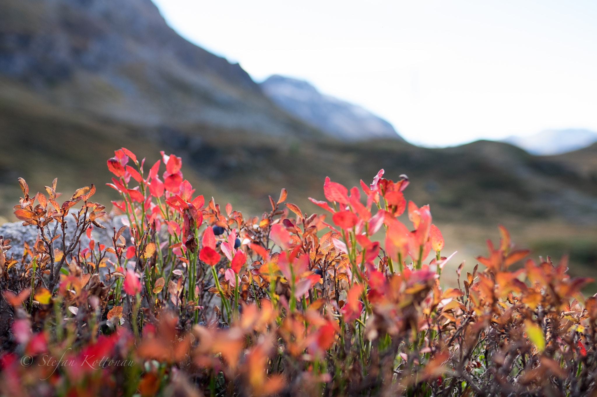 Fujifilm X-E2 + Fujifilm XF 16mm F1.4 R WR sample photo. Red on julier pass photography