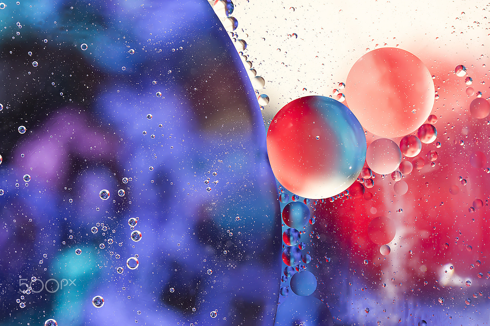 Canon EF-S 60mm F2.8 Macro USM sample photo. Colorful oil bubbles on a water photography