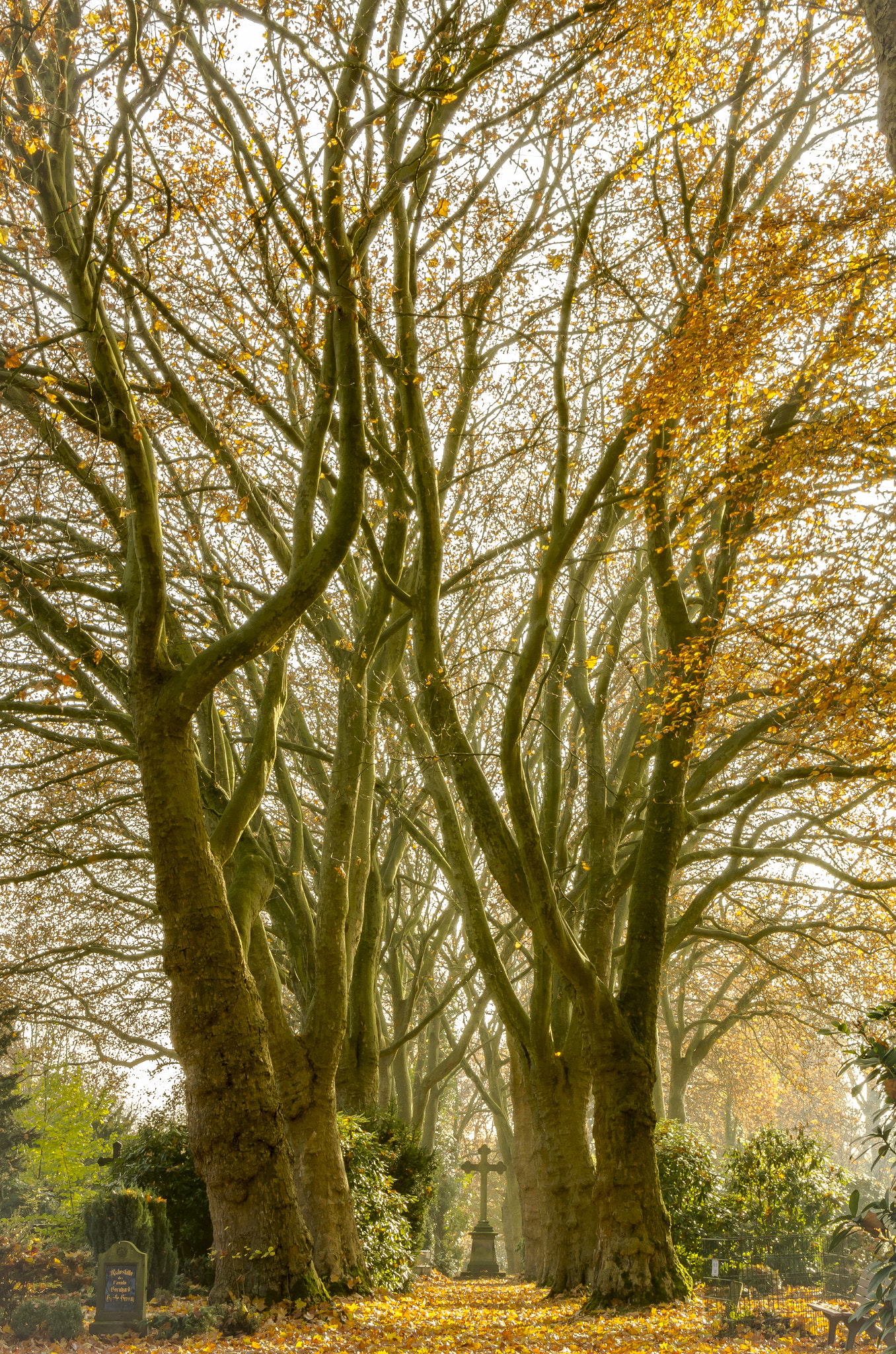 Pentax K-5 sample photo. The autumn cross°° photography