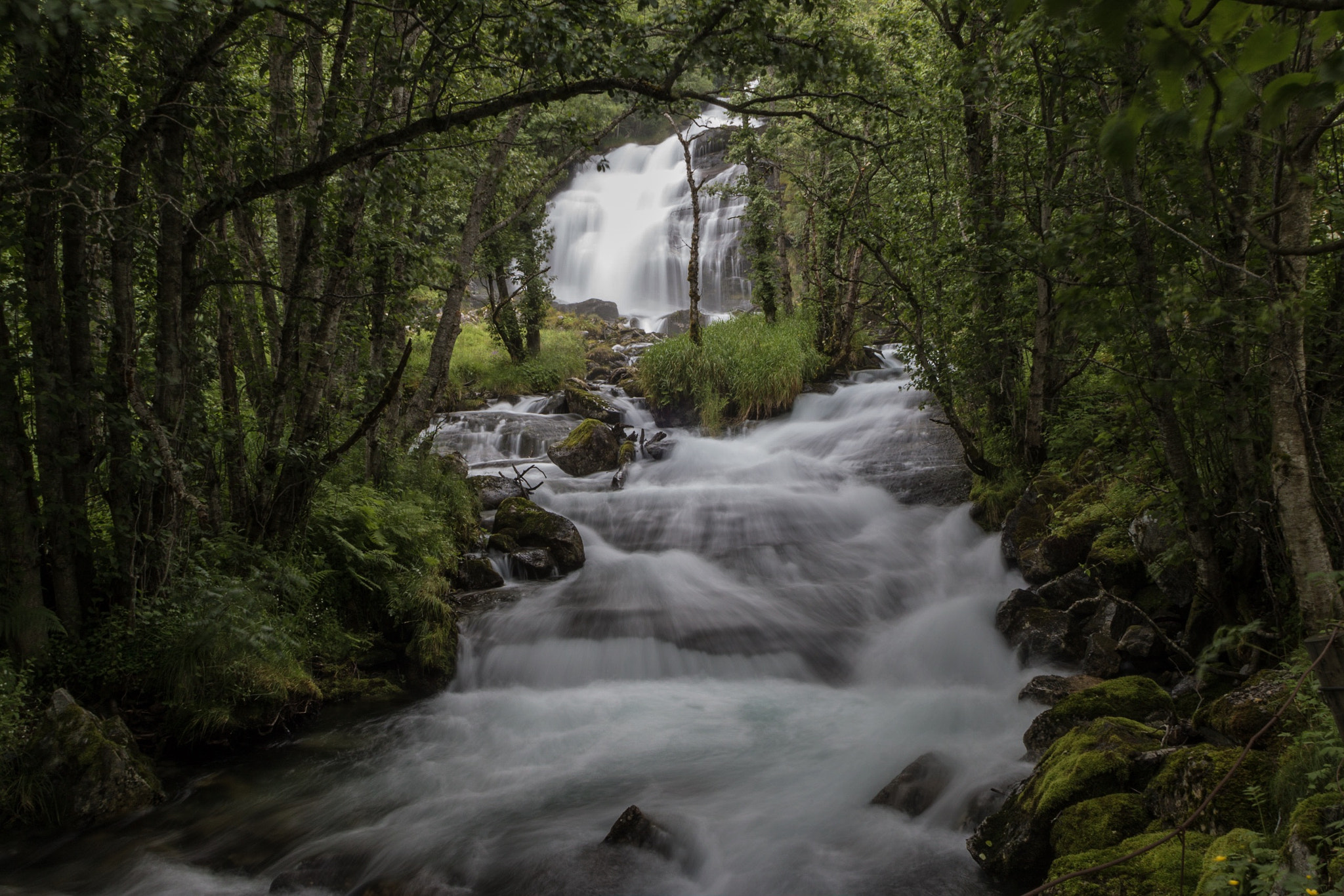 Canon EF 20-35mm F3.5-4.5 USM sample photo. Norway photography