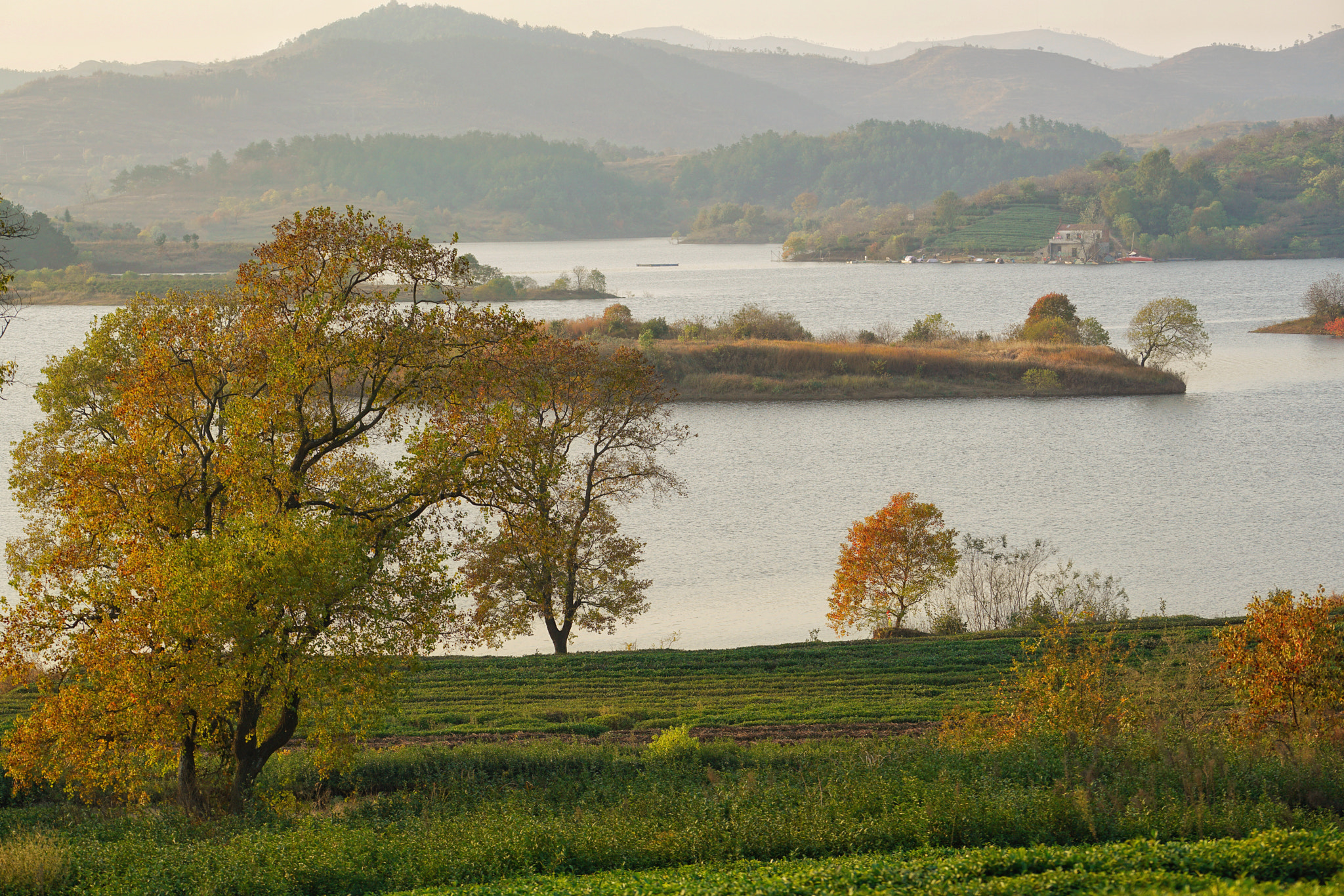 Sony FE 70-200mm F4 G OSS sample photo. 大悟红叶 photography