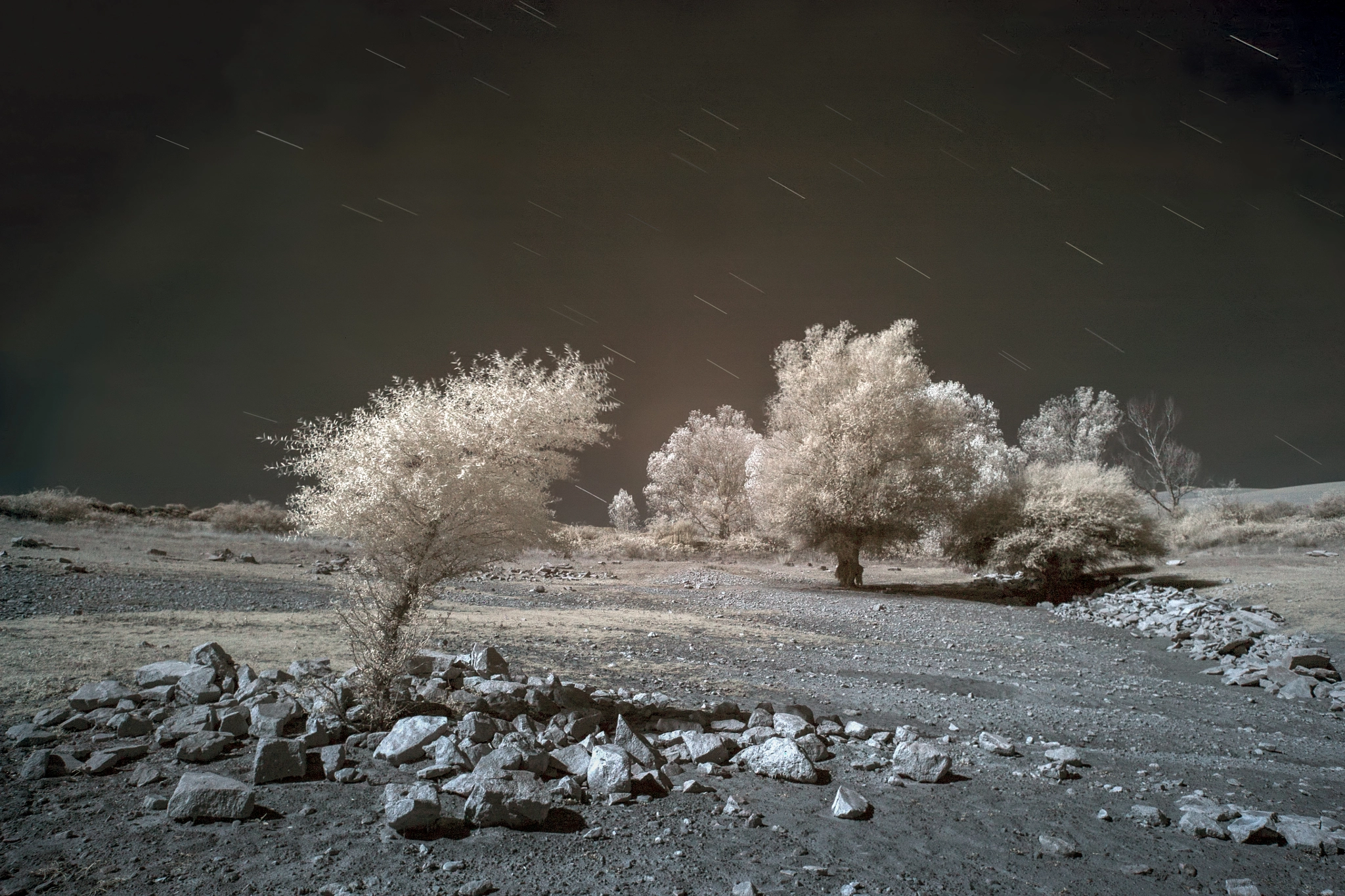 Canon EOS 5D + Canon EF 16-35mm F2.8L II USM sample photo. Alloz infrared photography