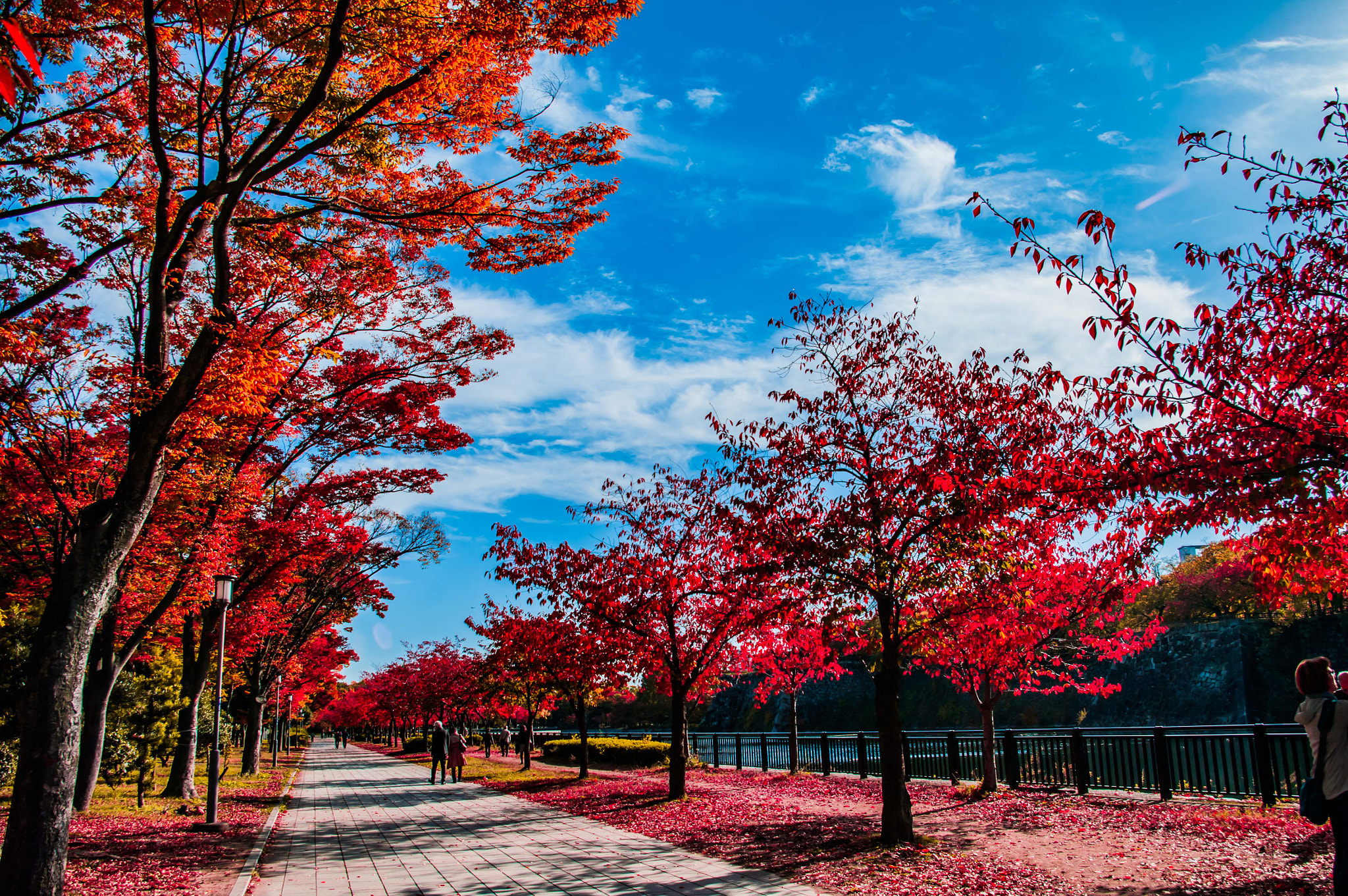 Pentax K20D sample photo. Aaaa photography