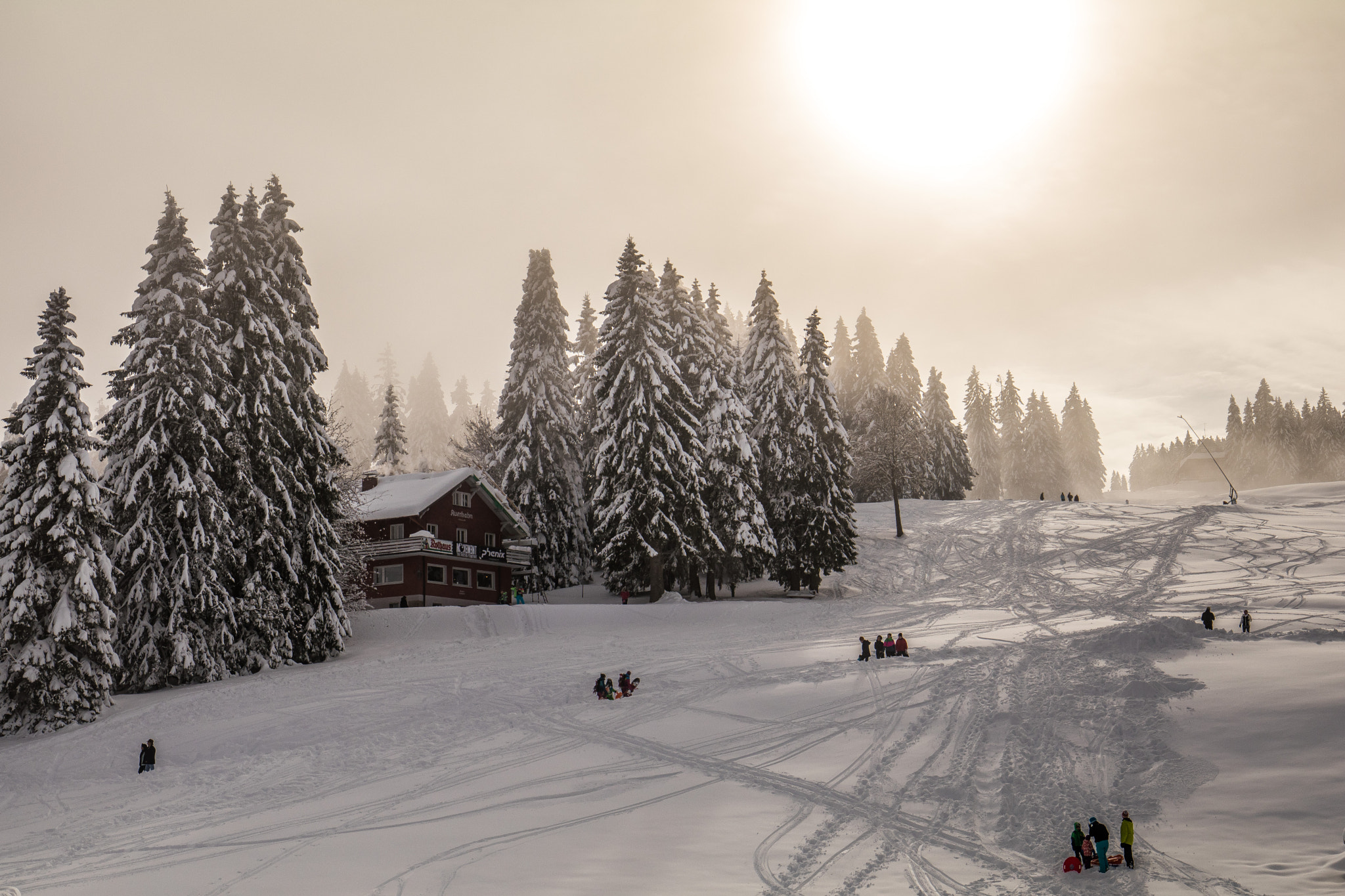 Canon EF 16-35mm F4L IS USM sample photo. Im schnee photography