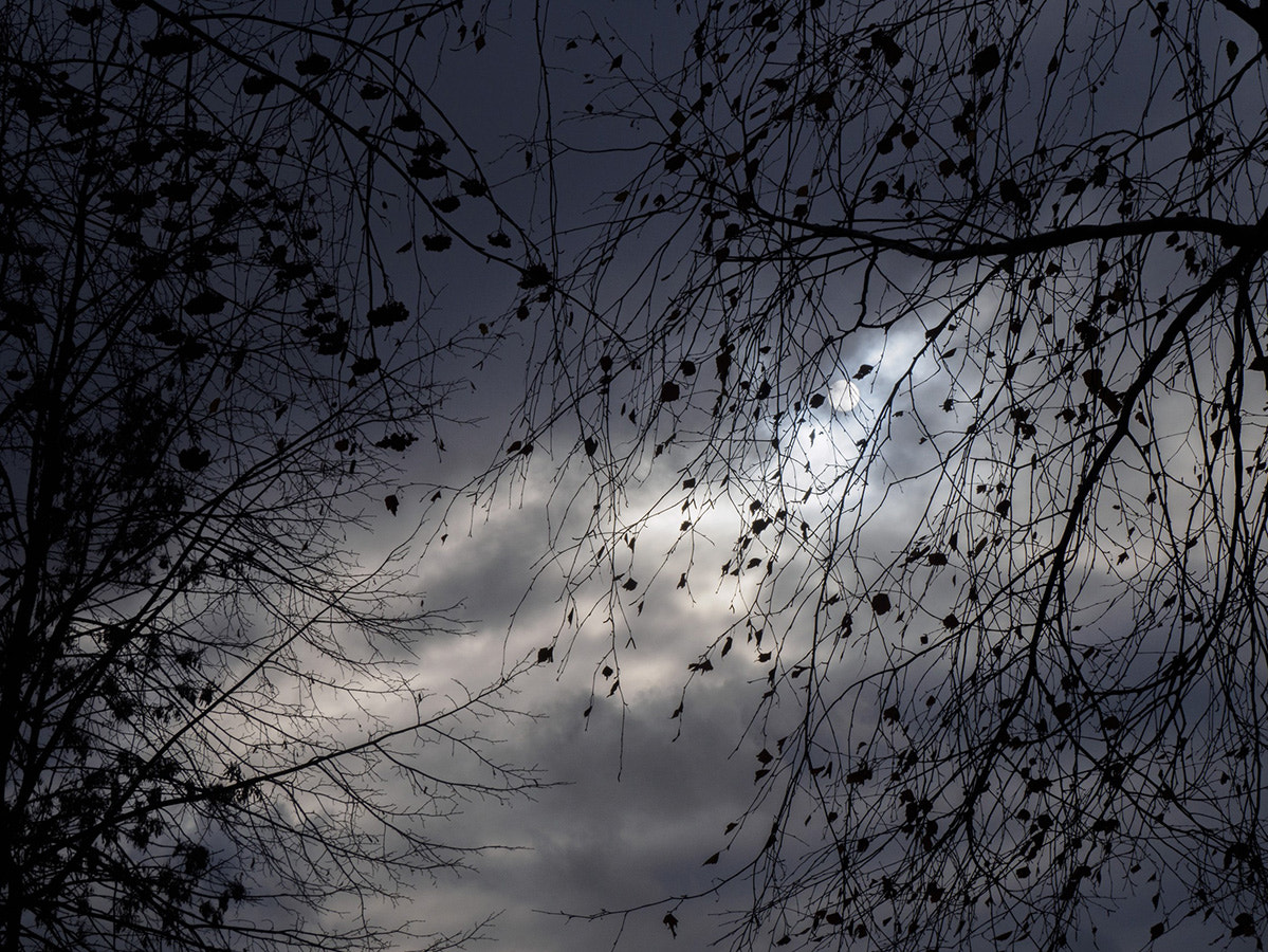 LUMIX G VARIO 45-150/F4.0-5.6 sample photo. Dark sun 5 photography