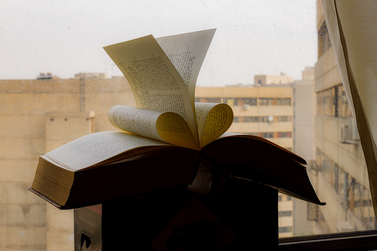 Canon EOS 500D (EOS Rebel T1i / EOS Kiss X3) sample photo. Love photography