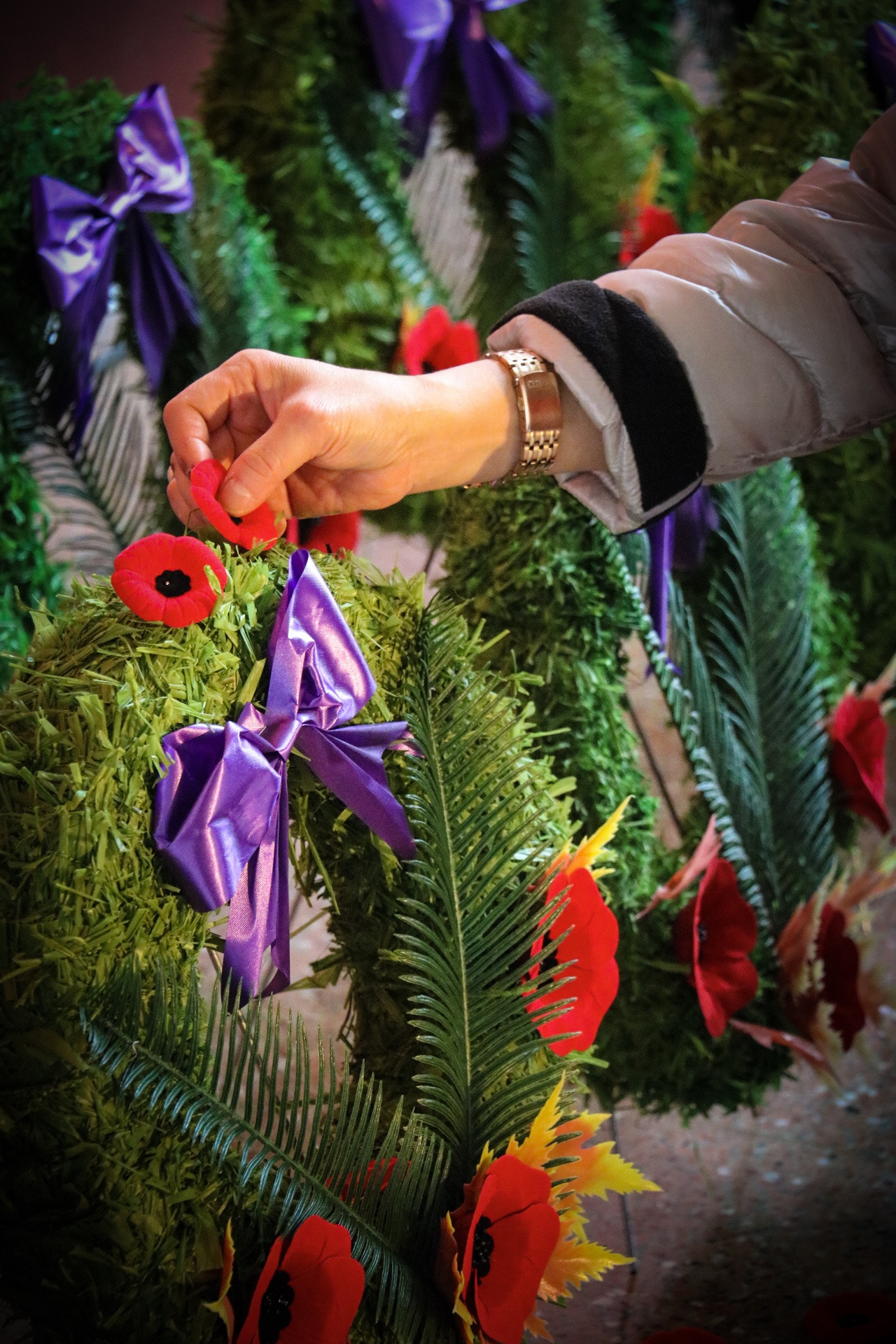 Canon EOS 760D (EOS Rebel T6s / EOS 8000D) sample photo. Remembering the fallen soldiers on nov 11 photography