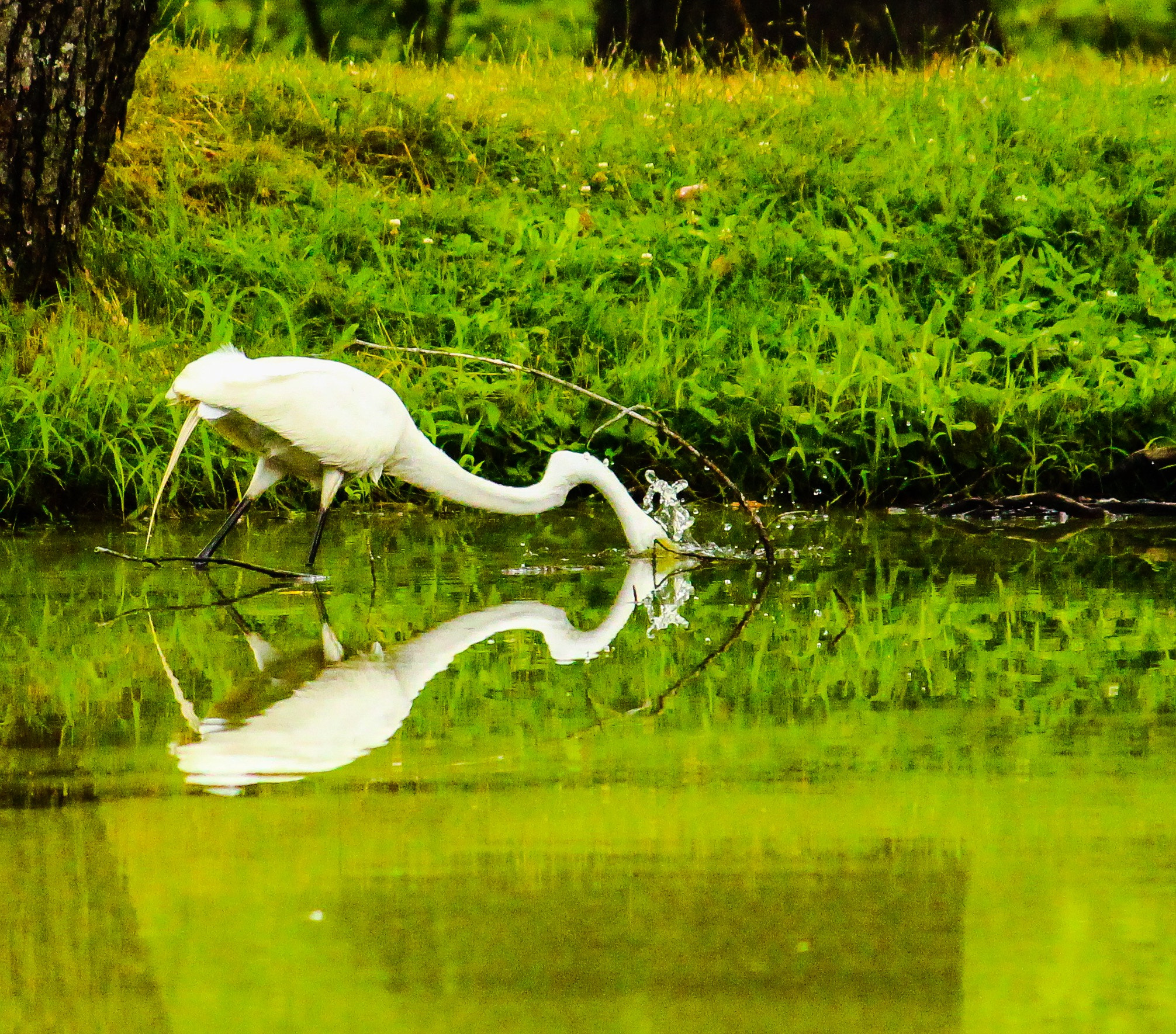 Canon EF-S 55-250mm F4-5.6 IS II sample photo. Fishing photography