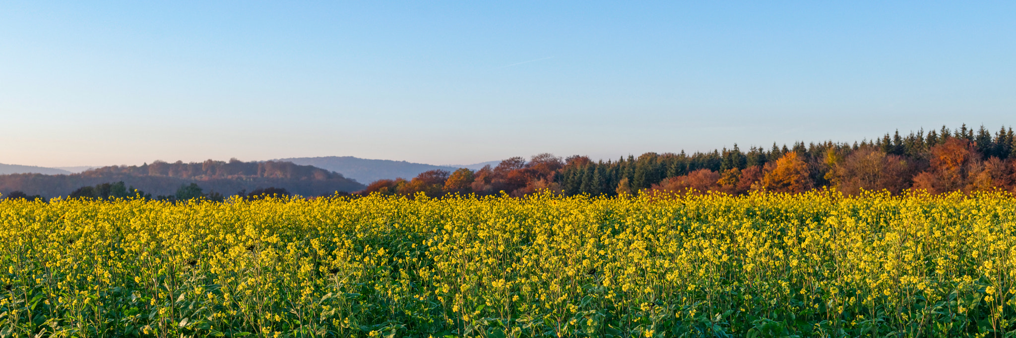 Nikon AF-S Nikkor 35mm F1.8G ED sample photo. Autumn landscape photography
