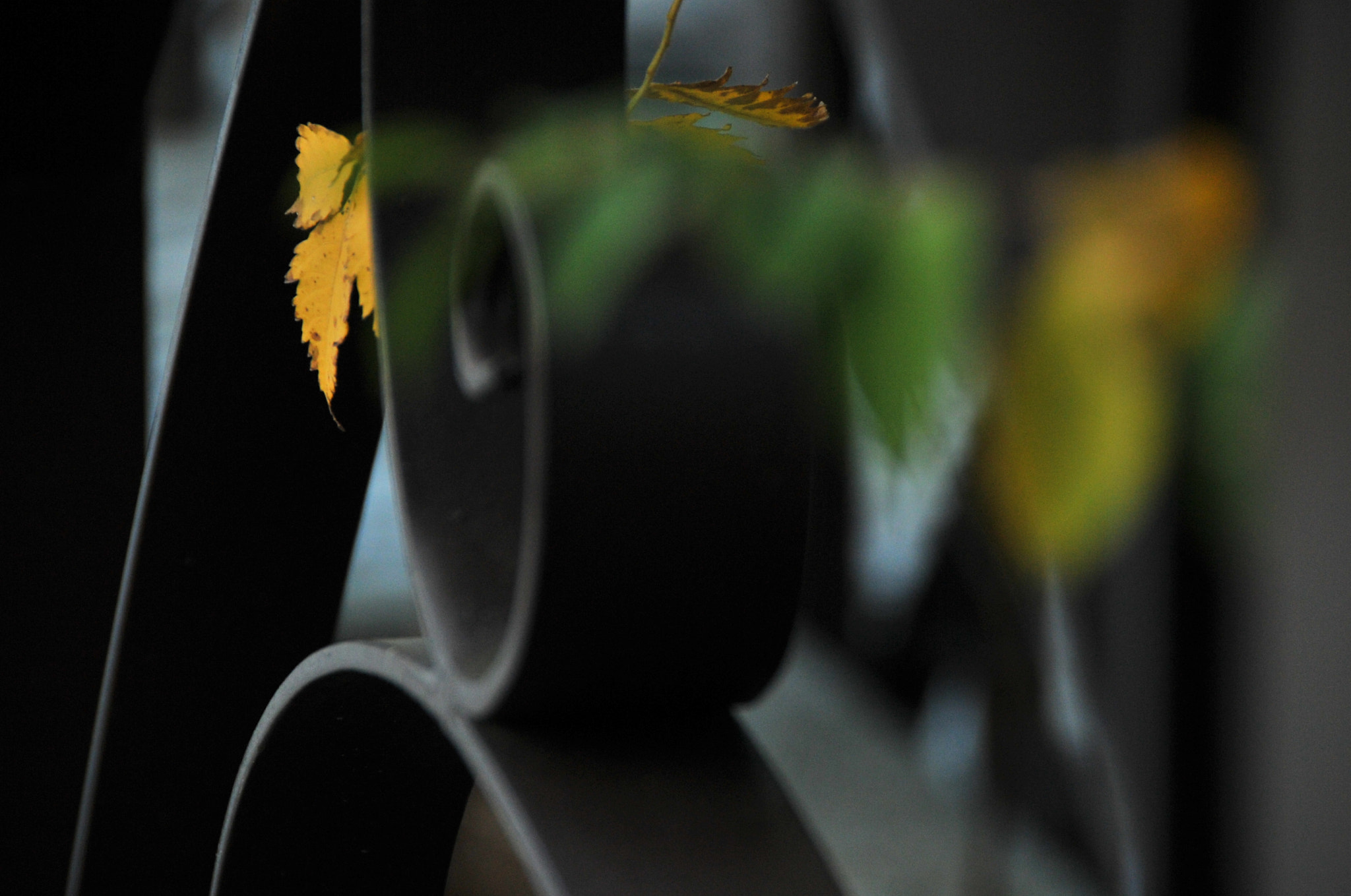 Nikon D3S sample photo. .. photography