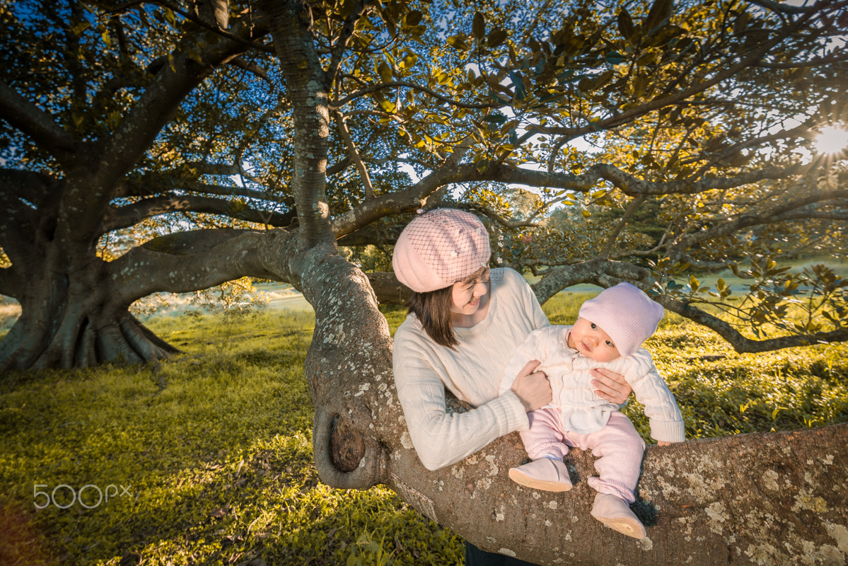 Tamron SP 15-30mm F2.8 Di VC USD sample photo. Love of tree photography