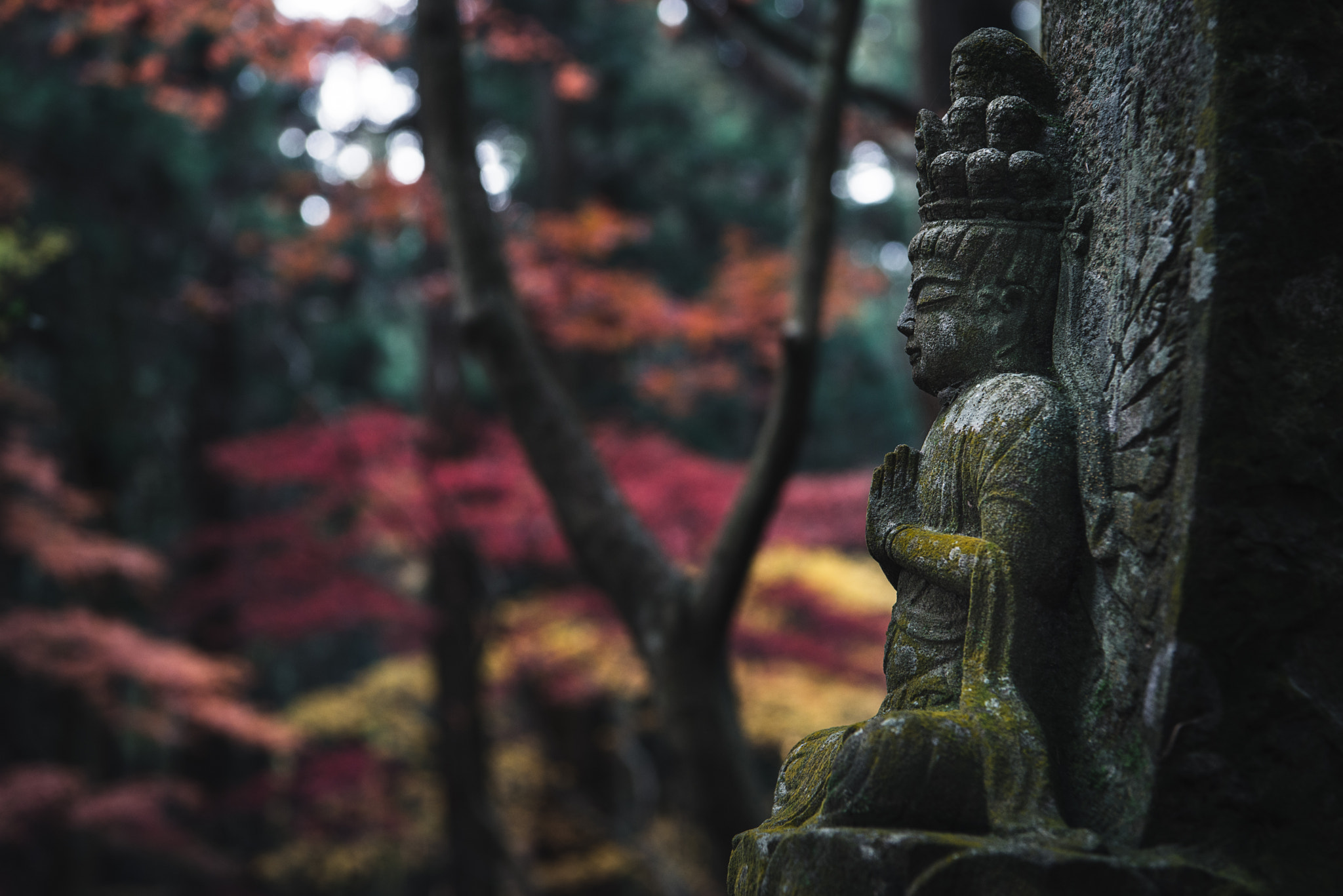 Nikon AF-S Nikkor 24-70mm F2.8E ED VR sample photo. Bodhisattva always smiling gently. photography