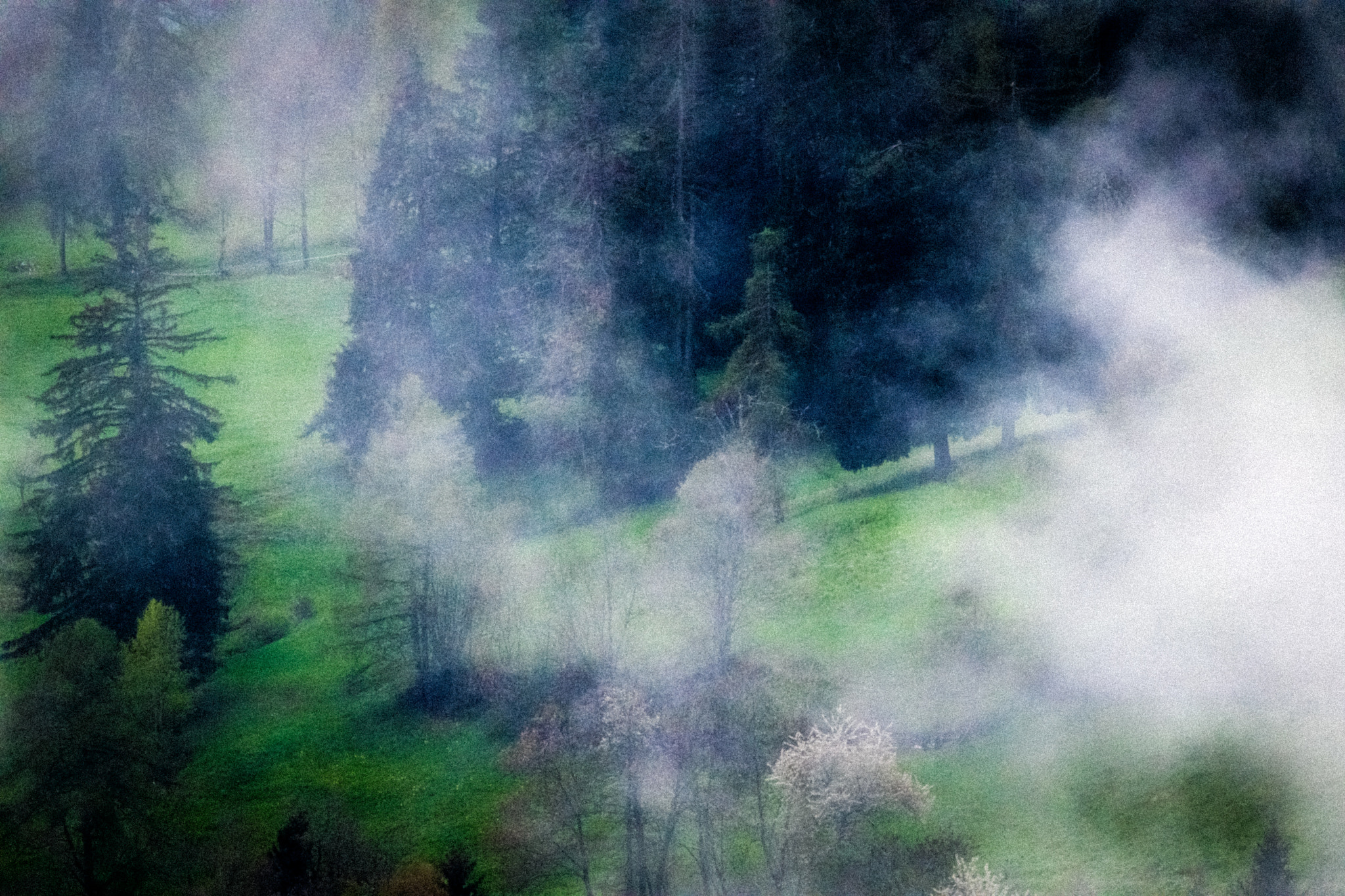 Nikon AF-S Nikkor 200-500mm F5.6E ED VR sample photo. Impressionism photography