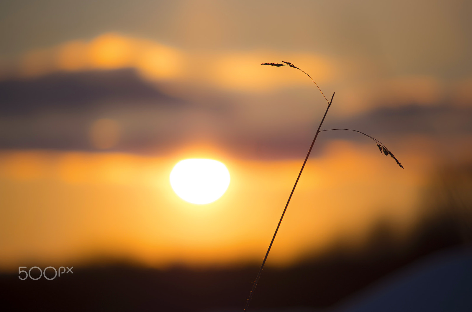Pentax smc DA 50-200mm F4-5.6 ED sample photo. Calmly setting photography