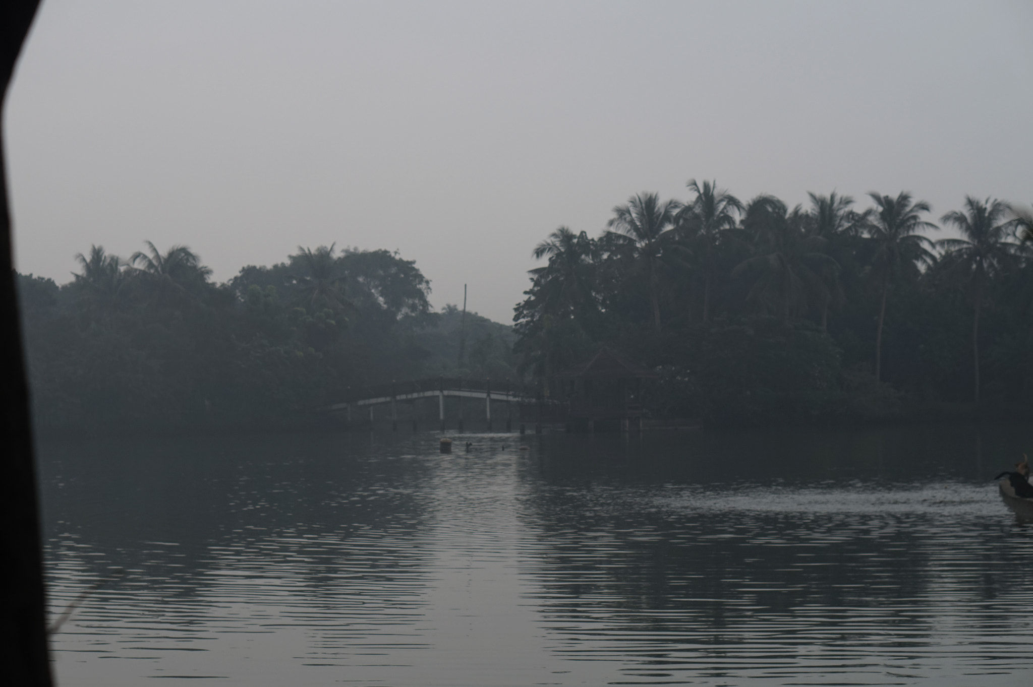 Sony Alpha a5000 (ILCE 5000) + E 50mm F1.8 OSS sample photo. Foggy day photography