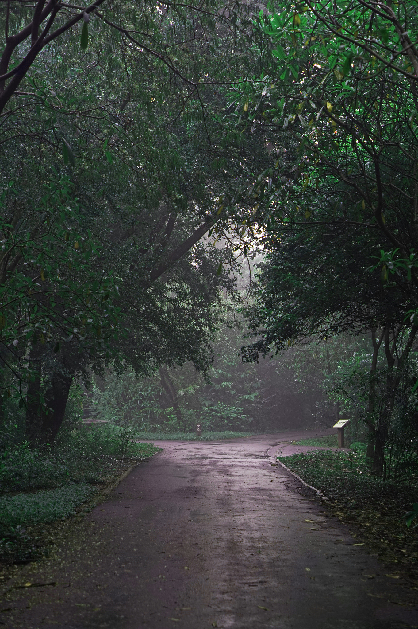 Sony Alpha a5000 (ILCE 5000) + E 50mm F1.8 OSS sample photo. Crossroads photography