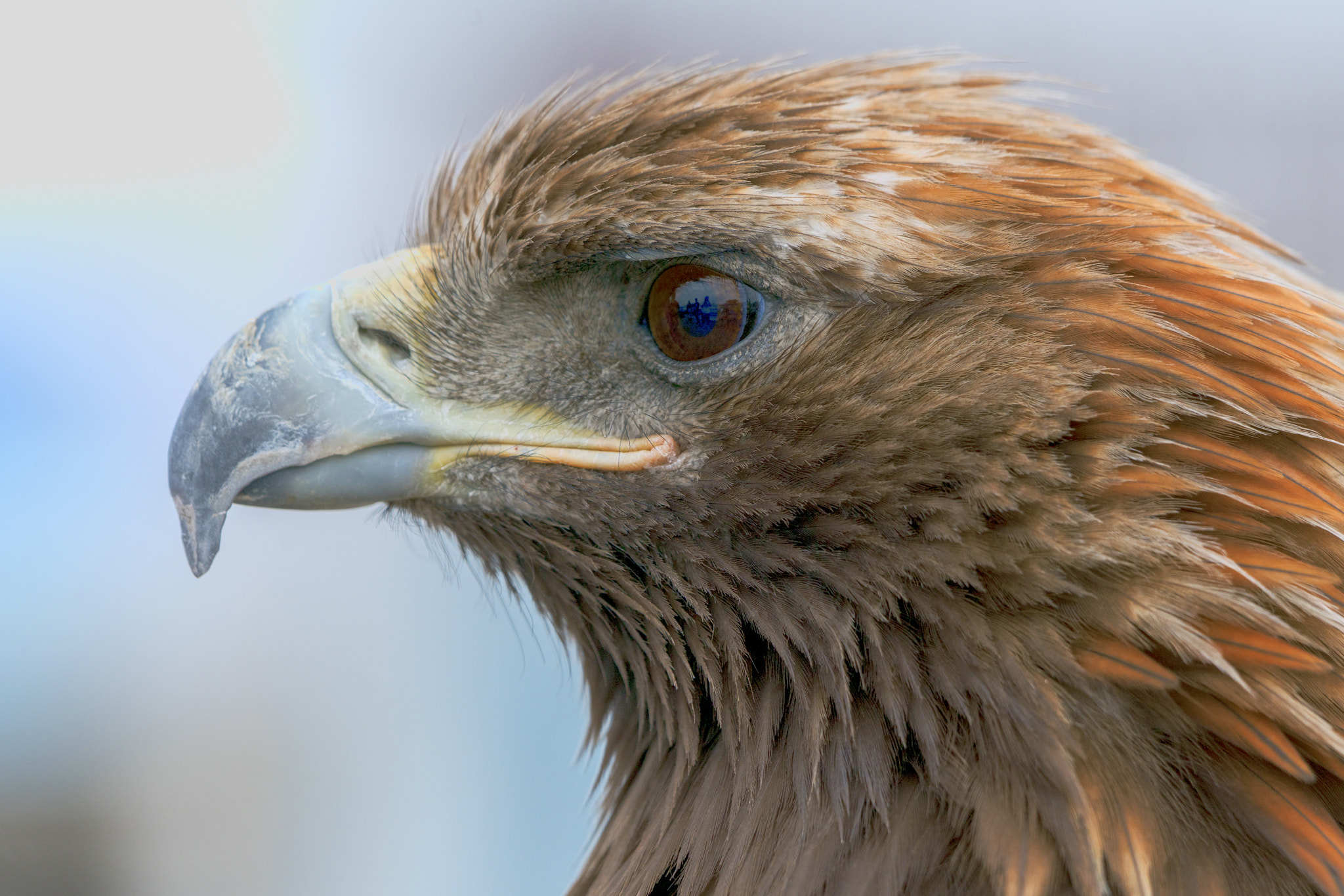 Sony 70-400mm F4-5.6 G SSM II sample photo. Mongolia-orhun valley photography