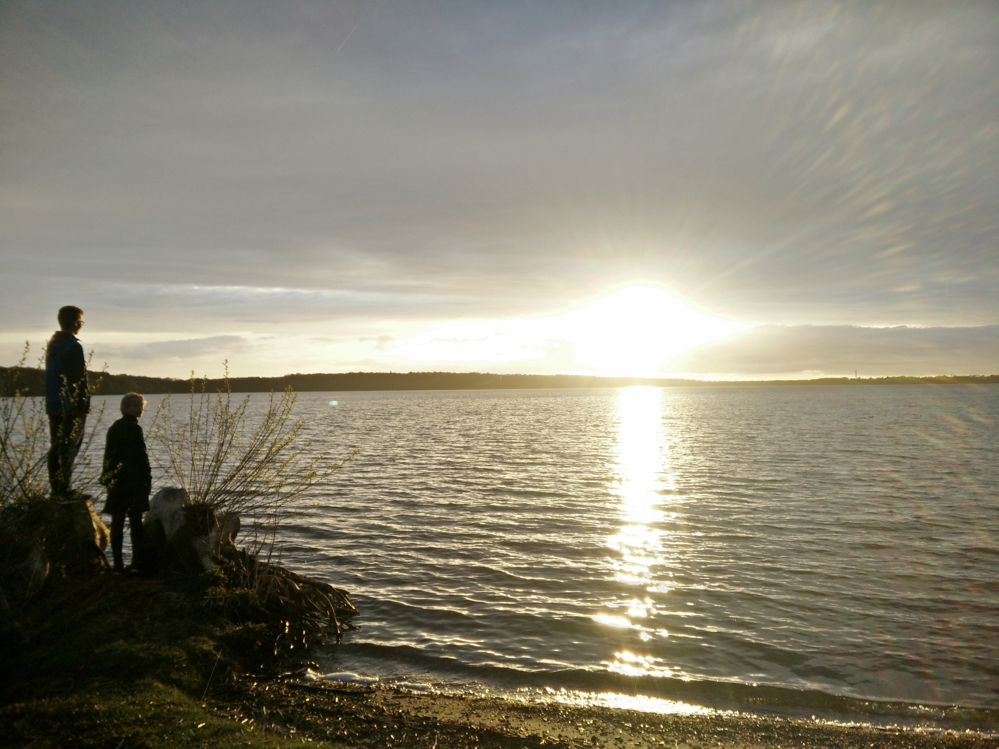 OnePlus ONE sample photo. Furesøen, capital region, denmark photography