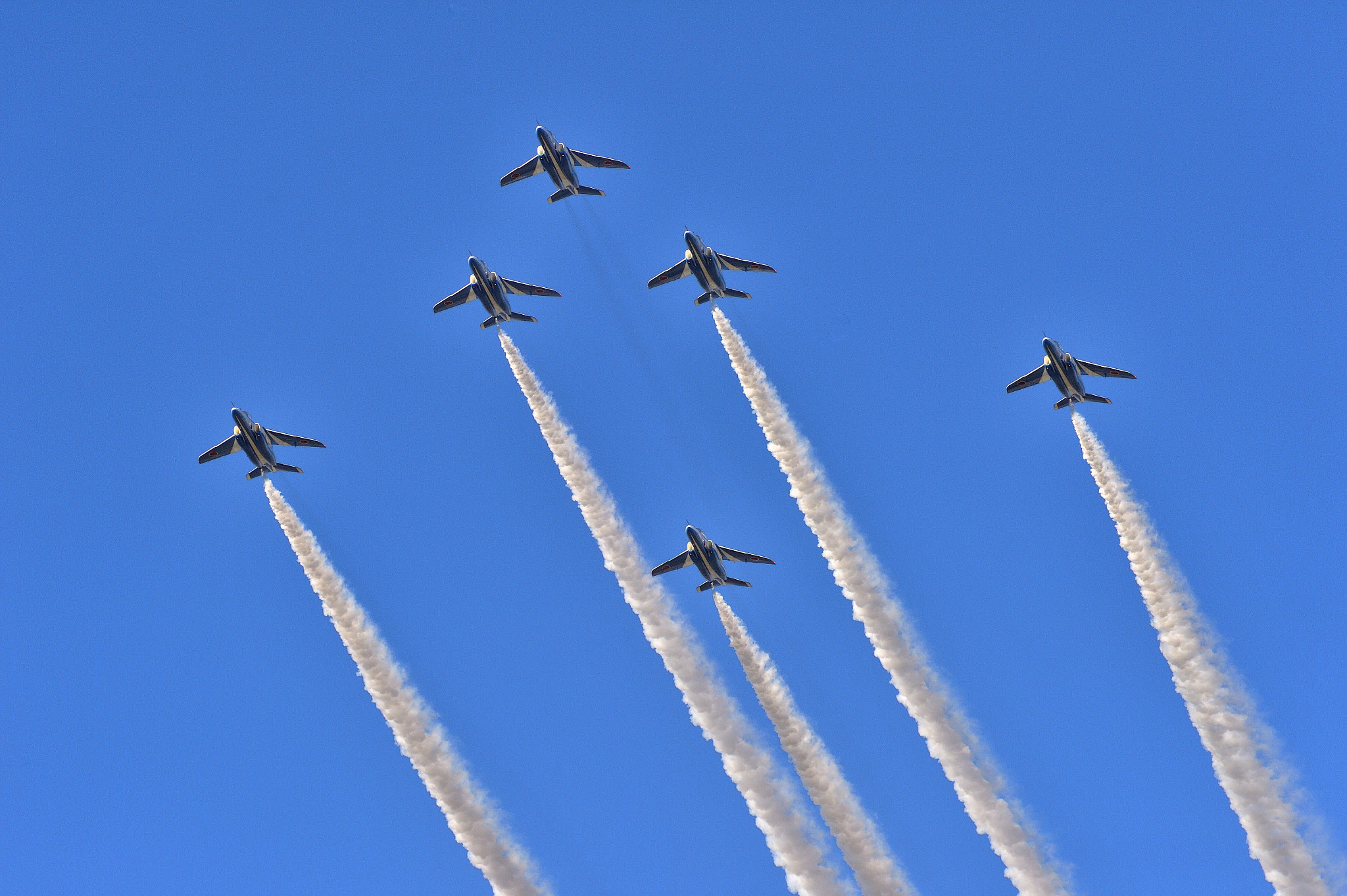 Nikon AF-S Nikkor 200-500mm F5.6E ED VR sample photo. Blue impulse photography